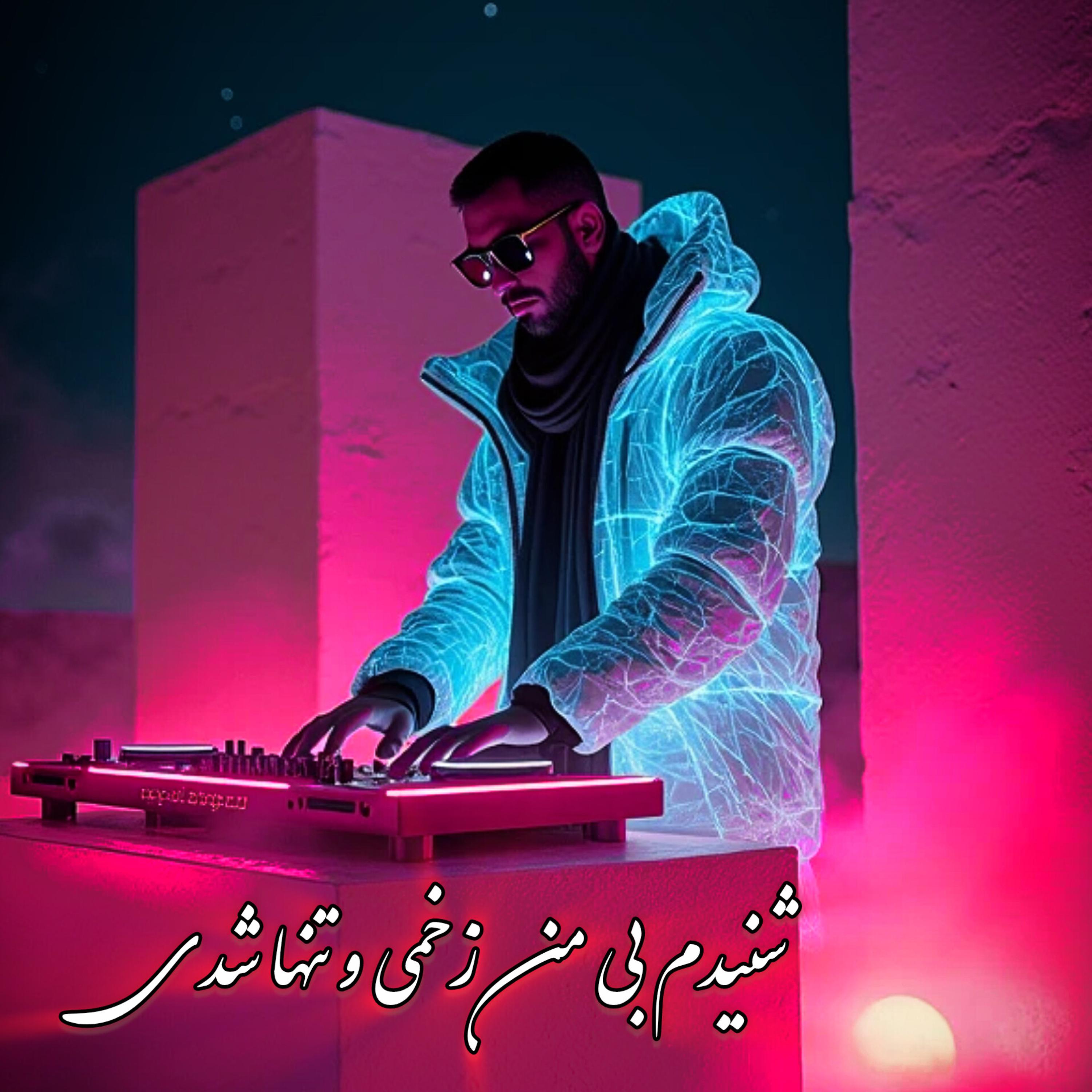 شنیدم بی من زخمی و تنها شدی artwork