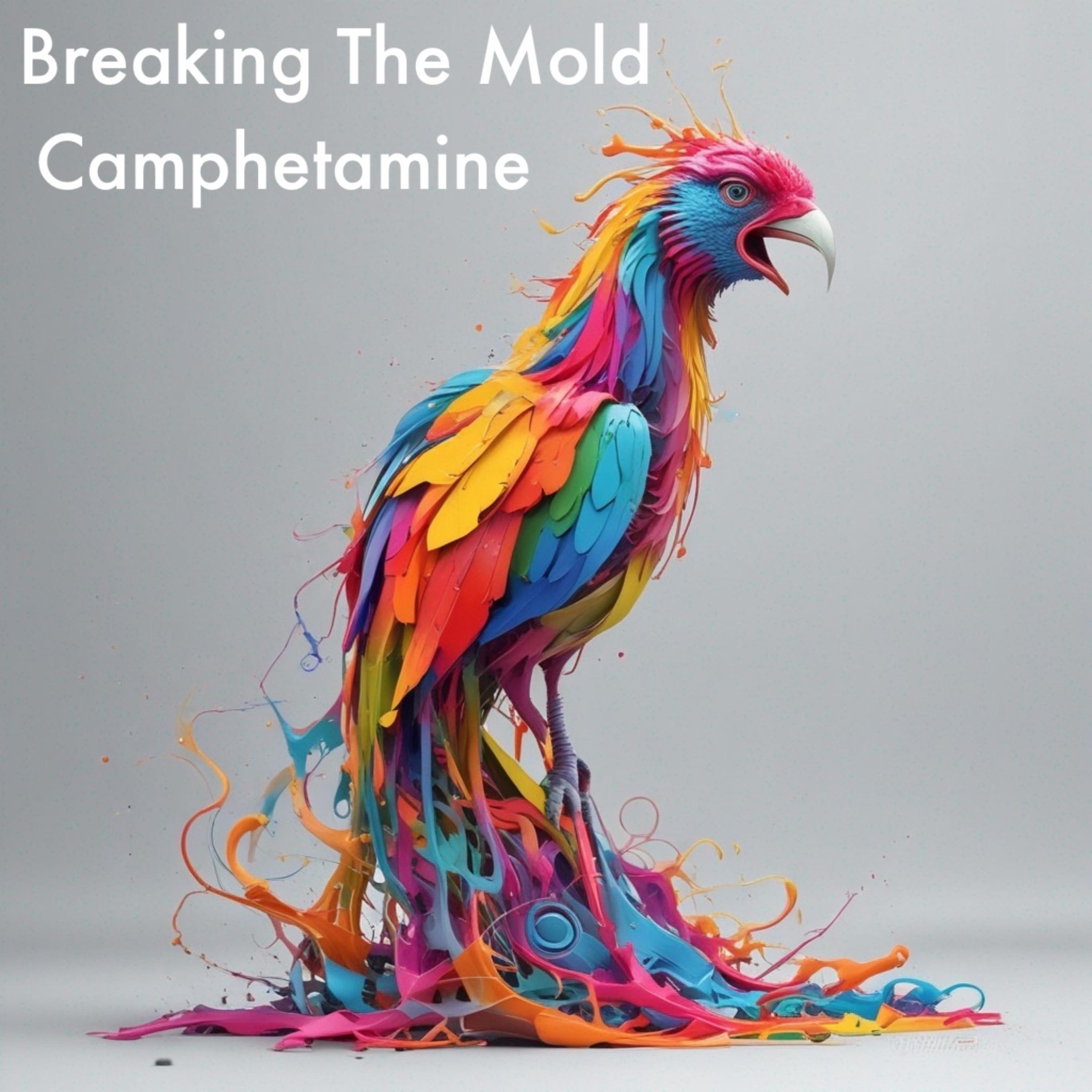 Breaking The Mold artwork