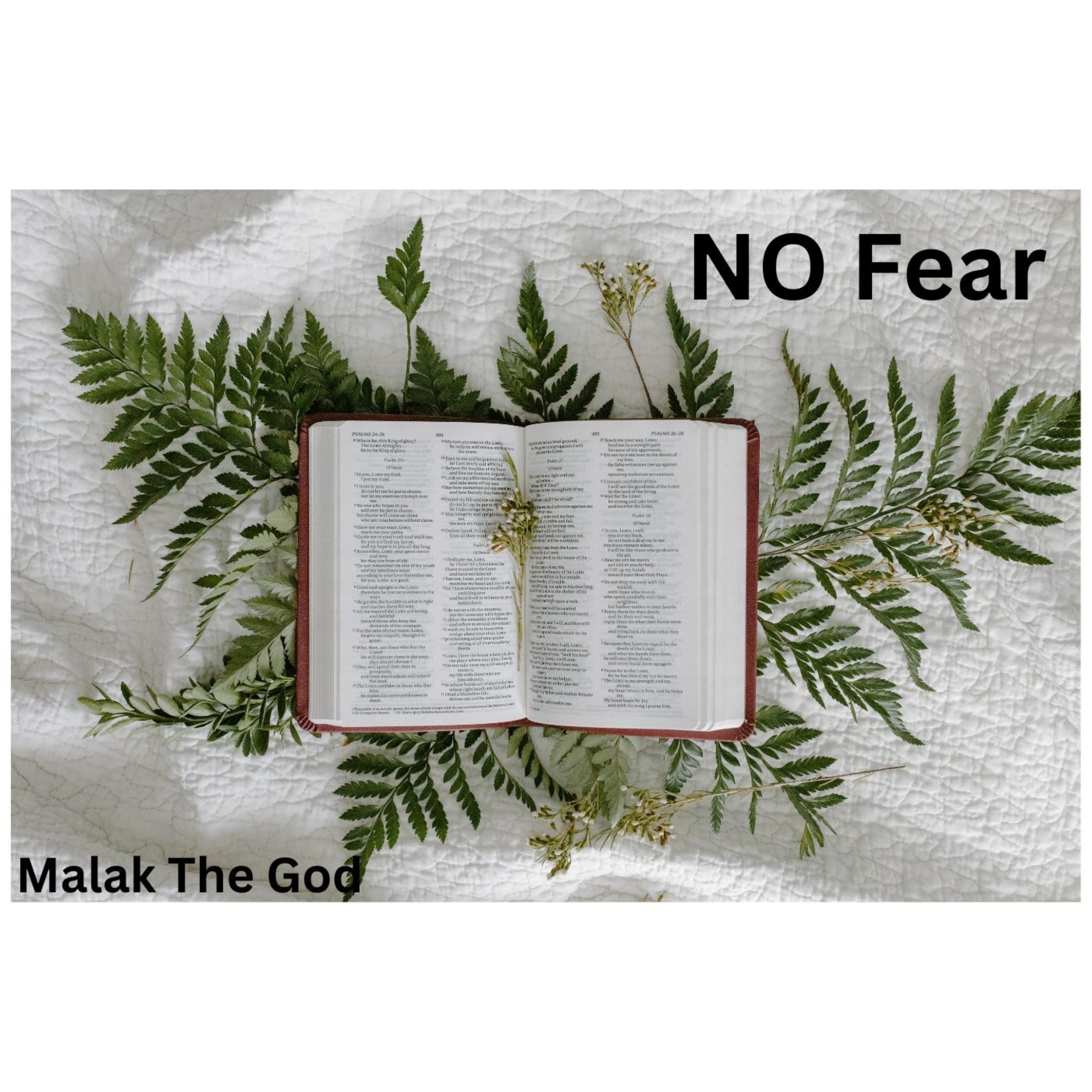 No Fear artwork