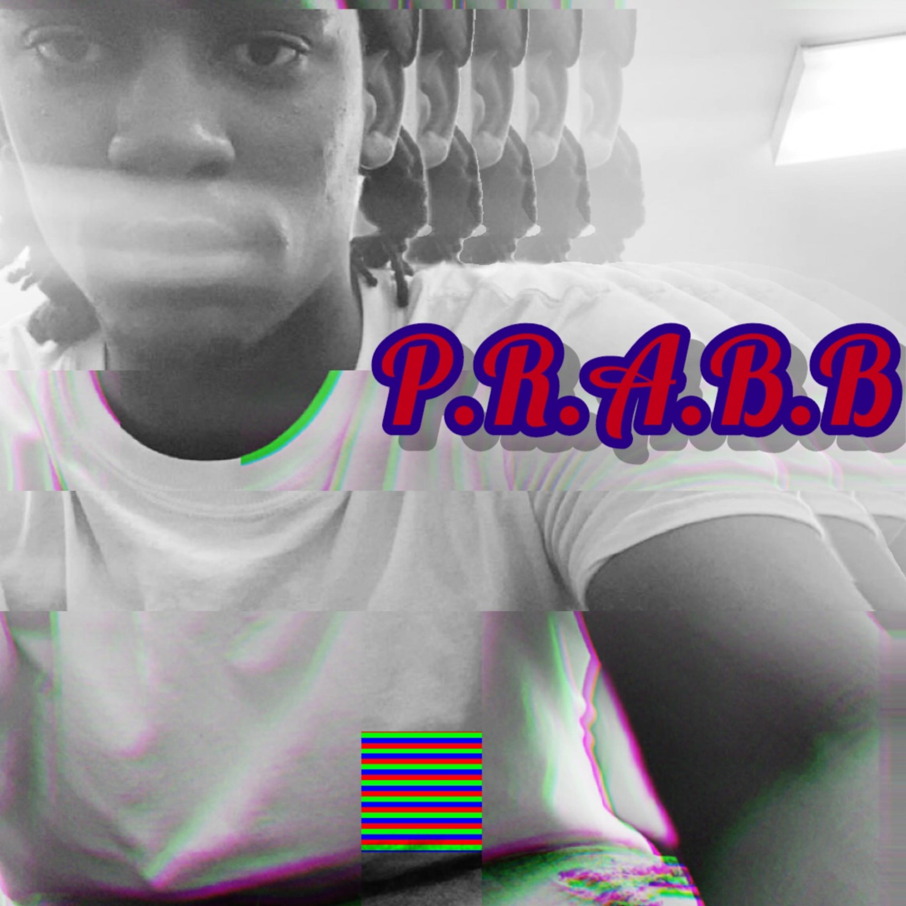 P.R.A.B.B artwork