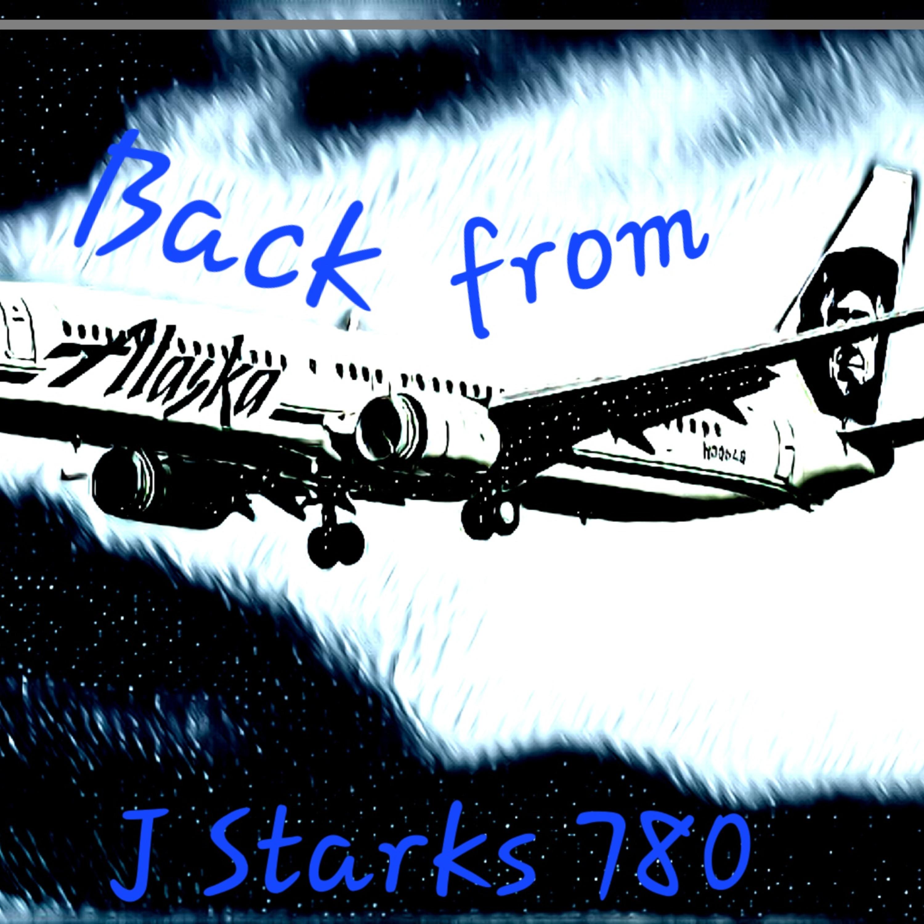 Back from Alaska  artwork