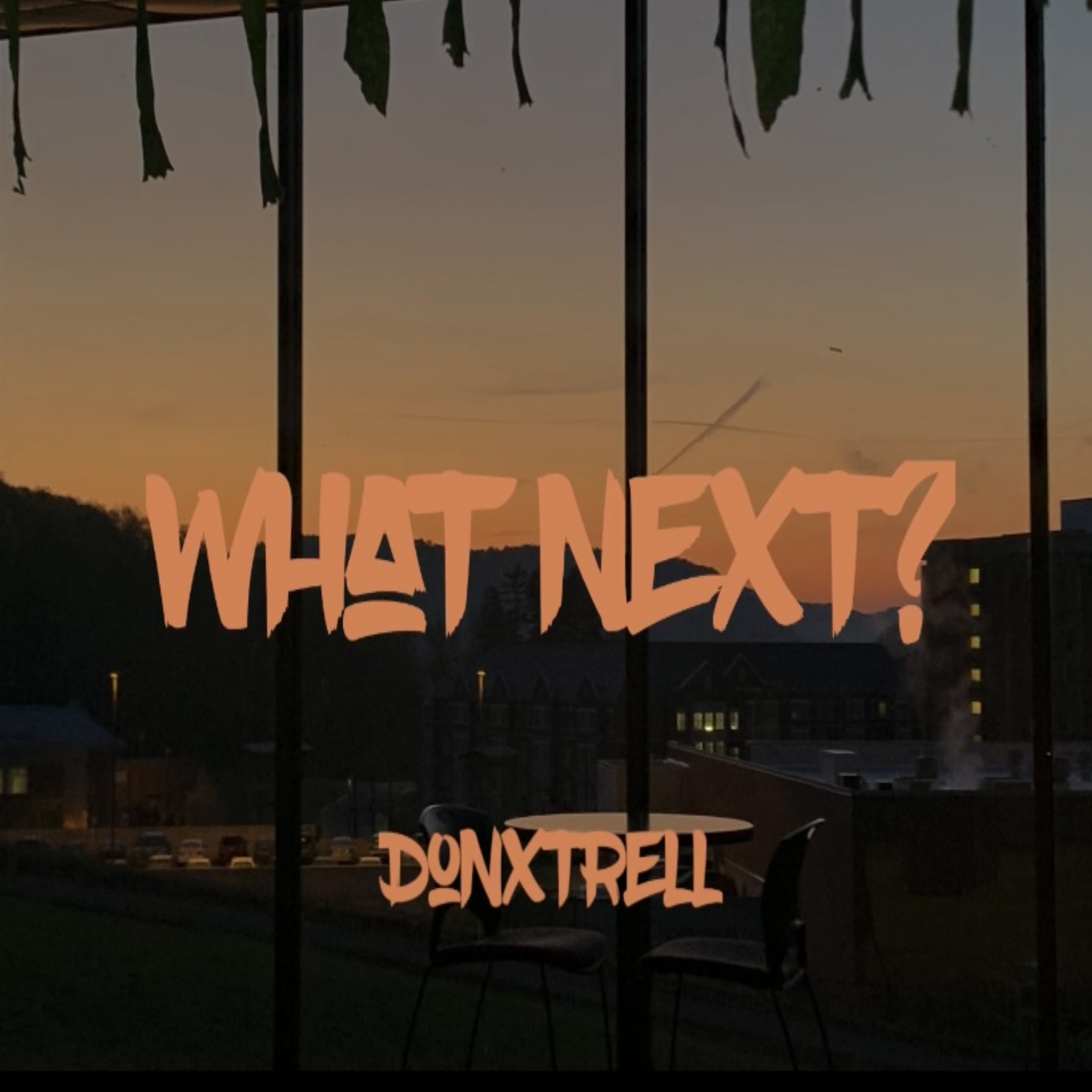 What Next? by Donxtrell cover art