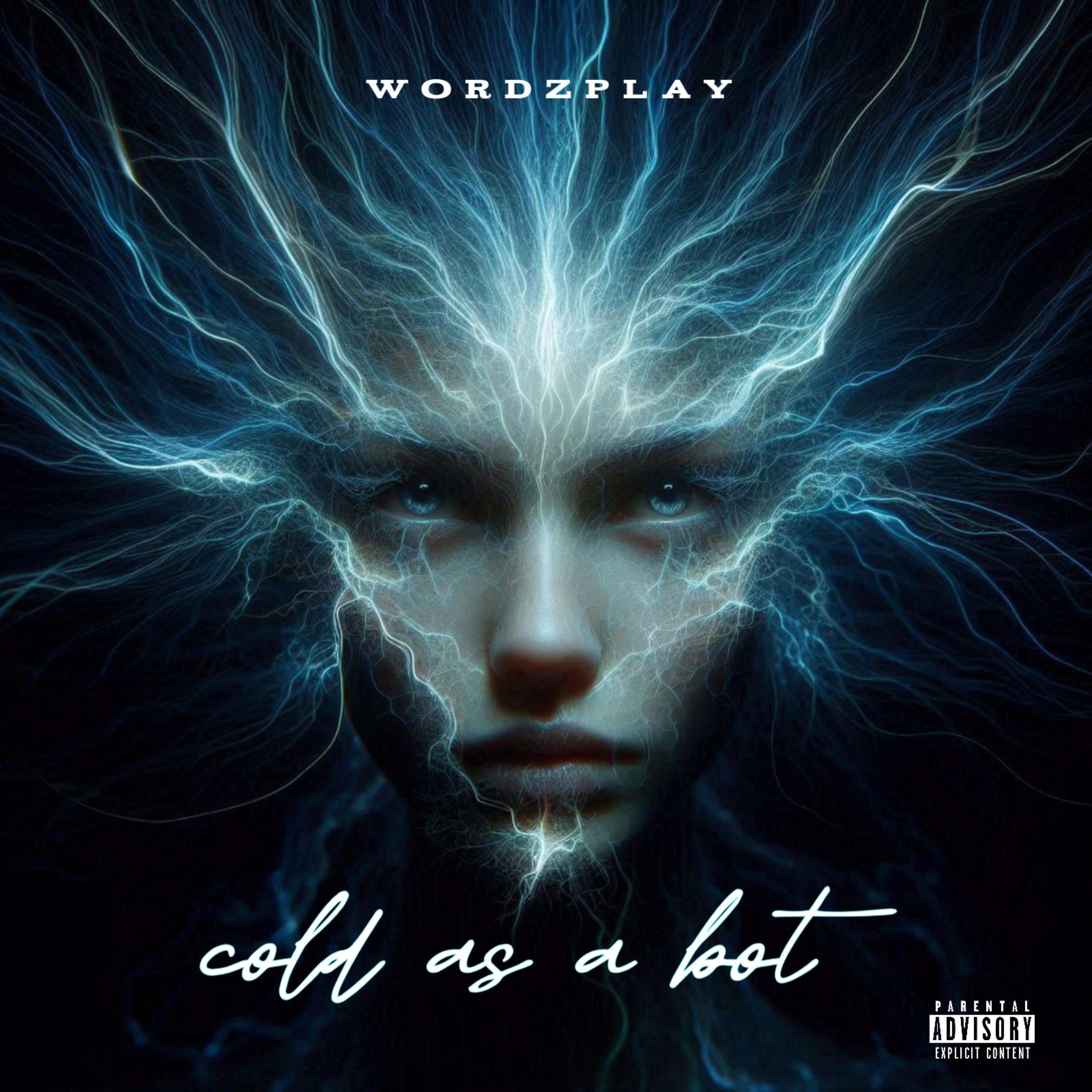 cold as a bot artwork