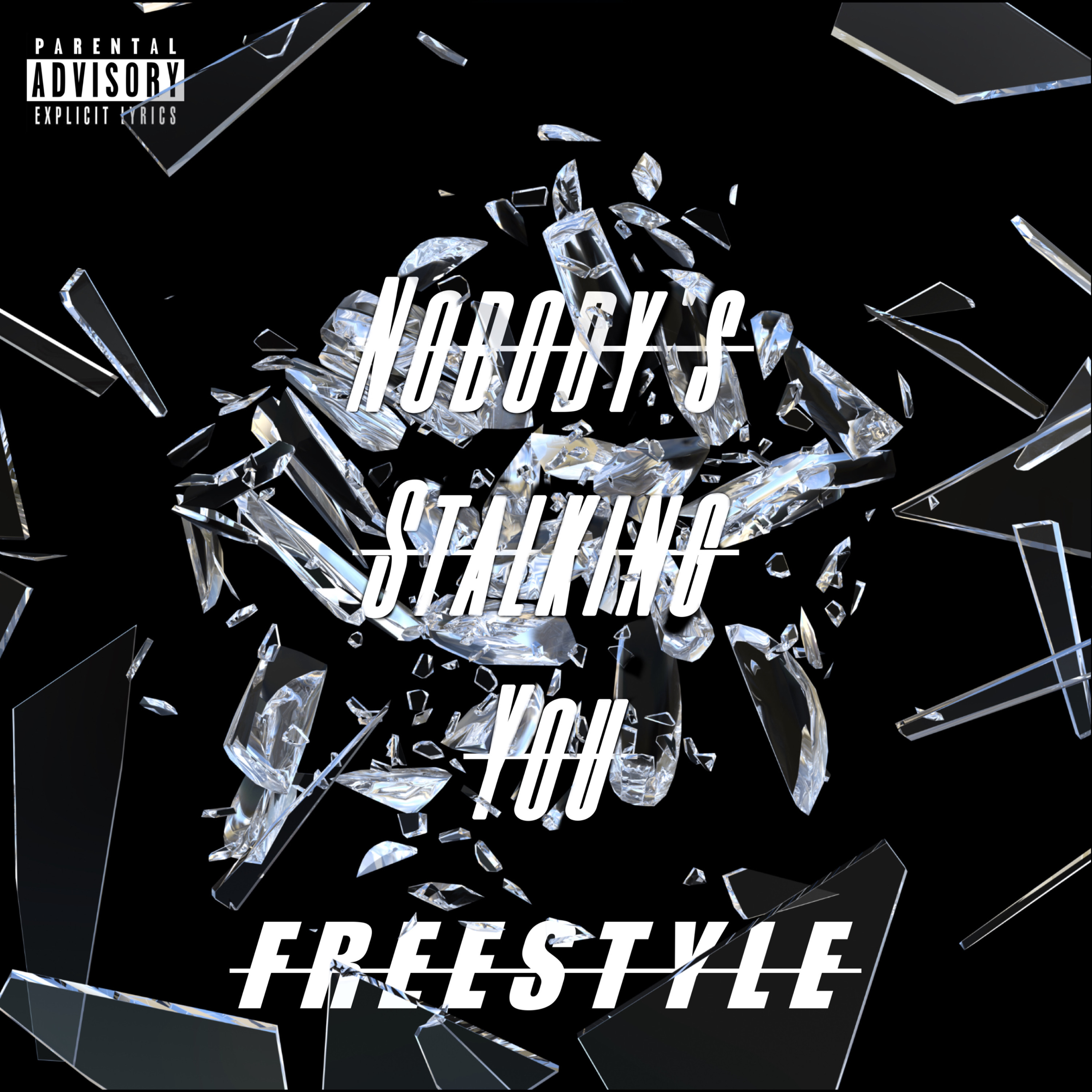 Nobody's Stalking You Freestyle by LILBIGE cover art