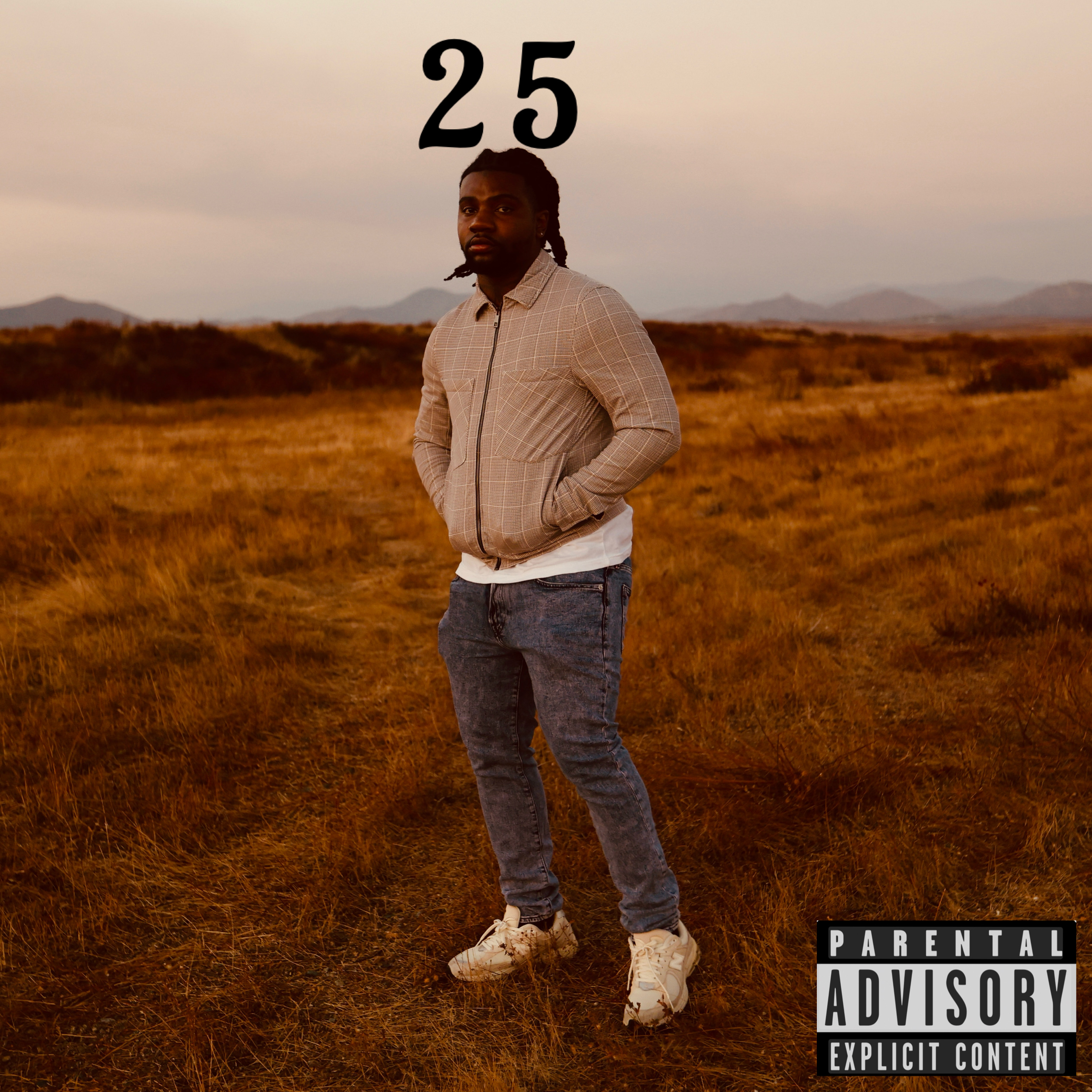 25 artwork