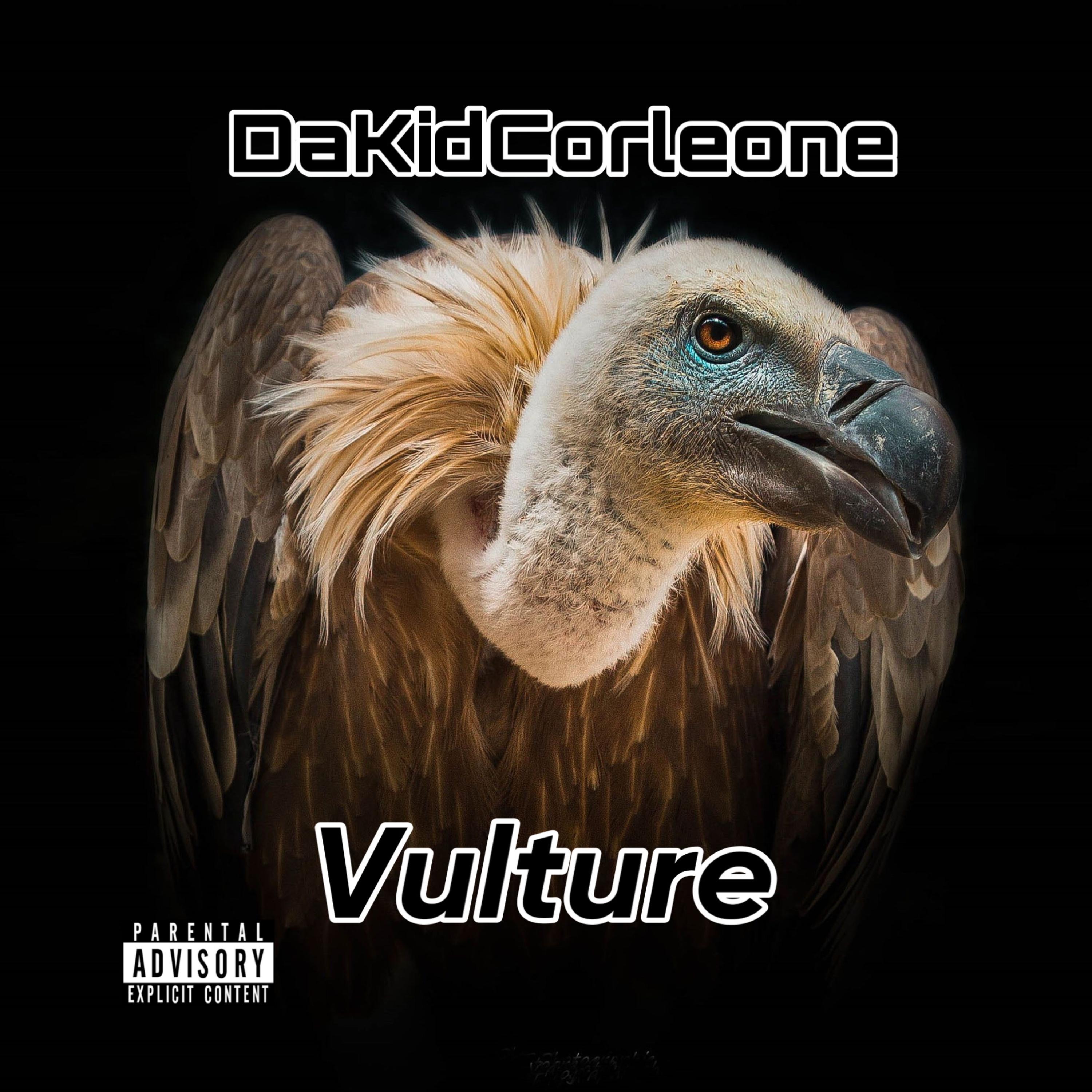 Vulture artwork