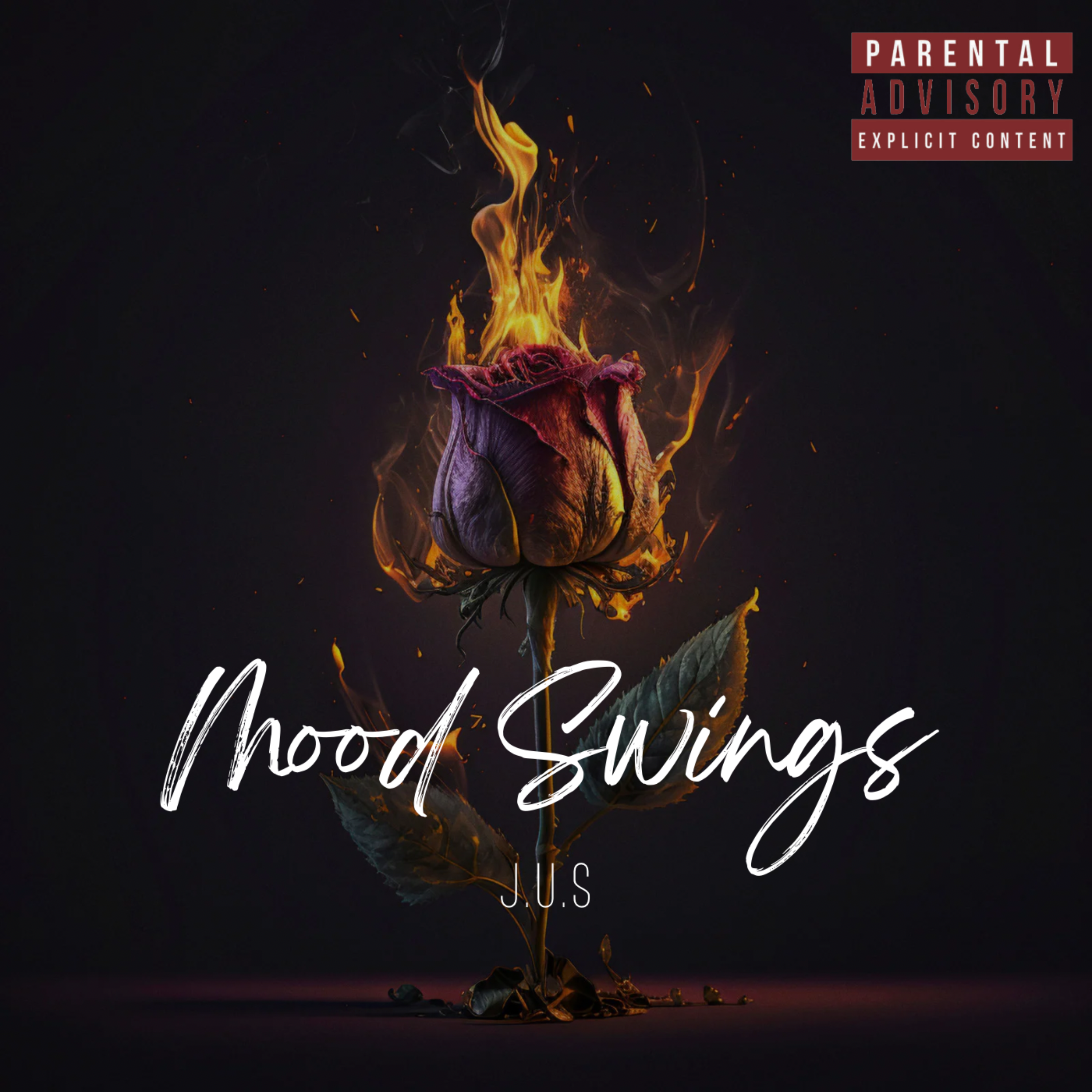 MOOD SWINGS artwork
