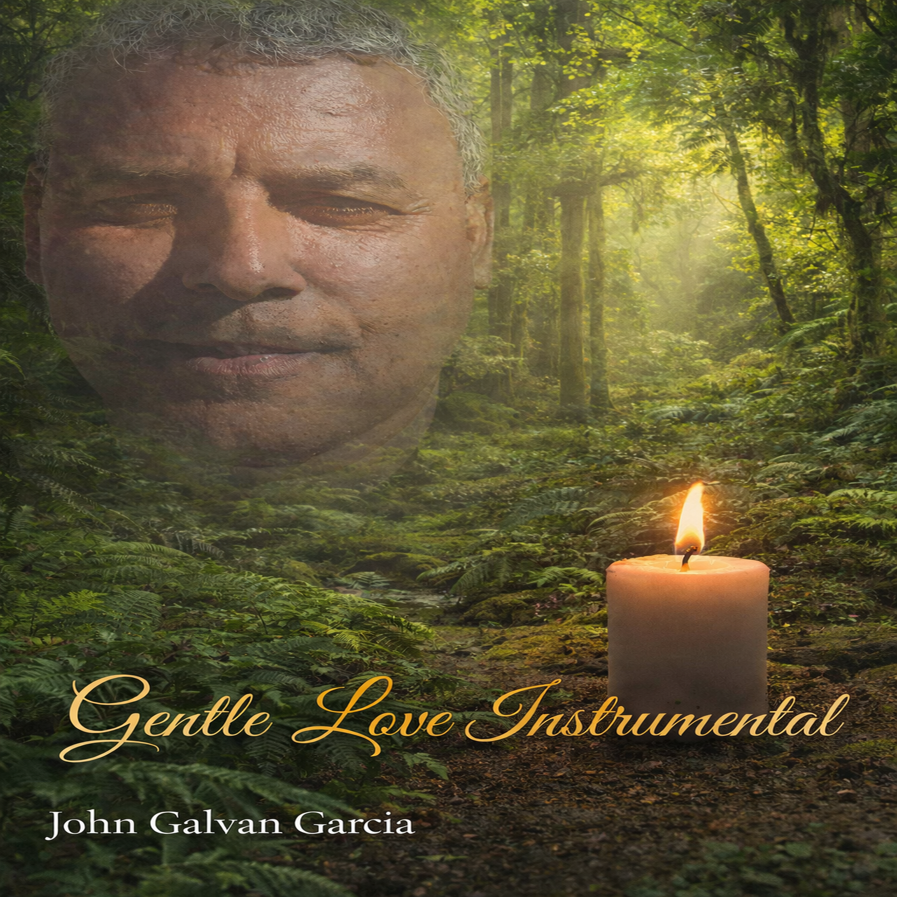 Gentle Love Instrumental artwork
