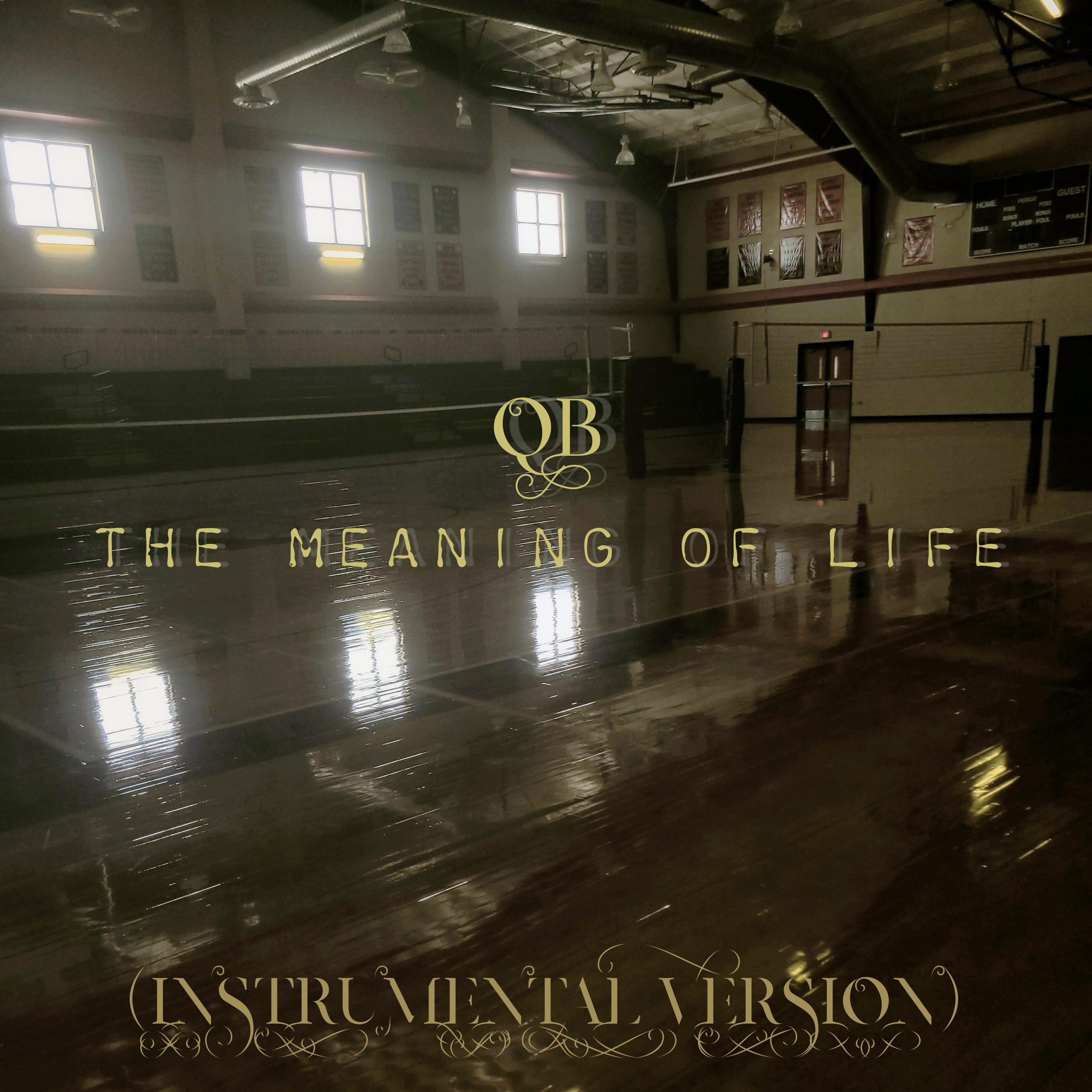 The Meaning of Life (Instrumental Version) artwork