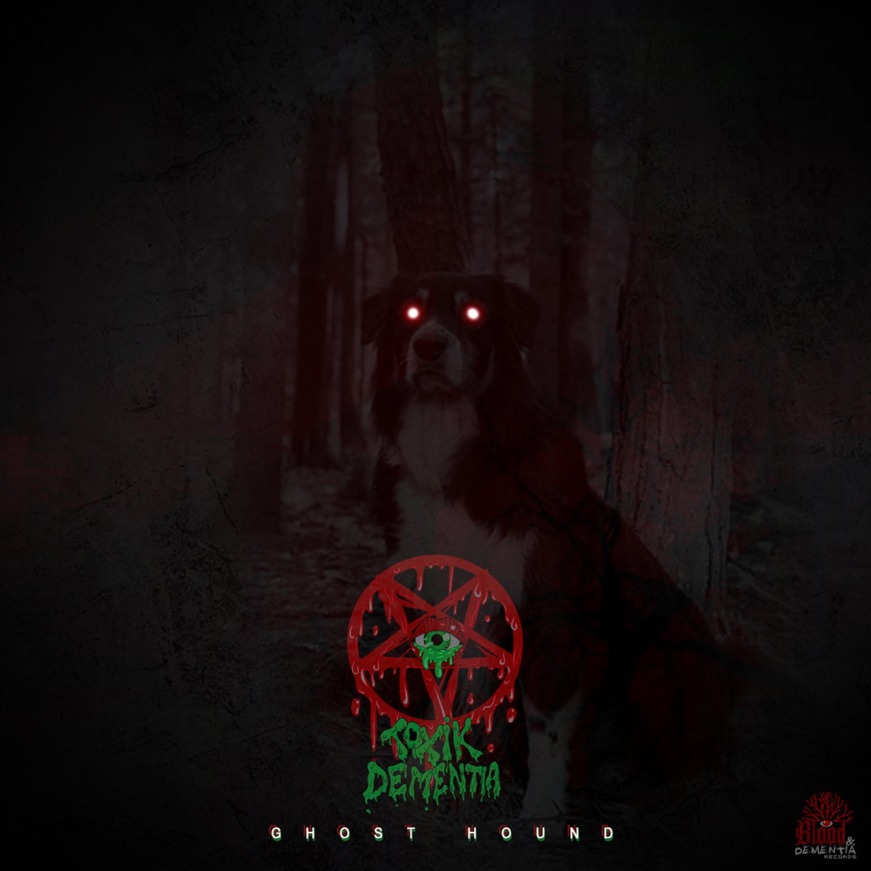 Ghost hound (2019) by TOXIK Dementia cover art