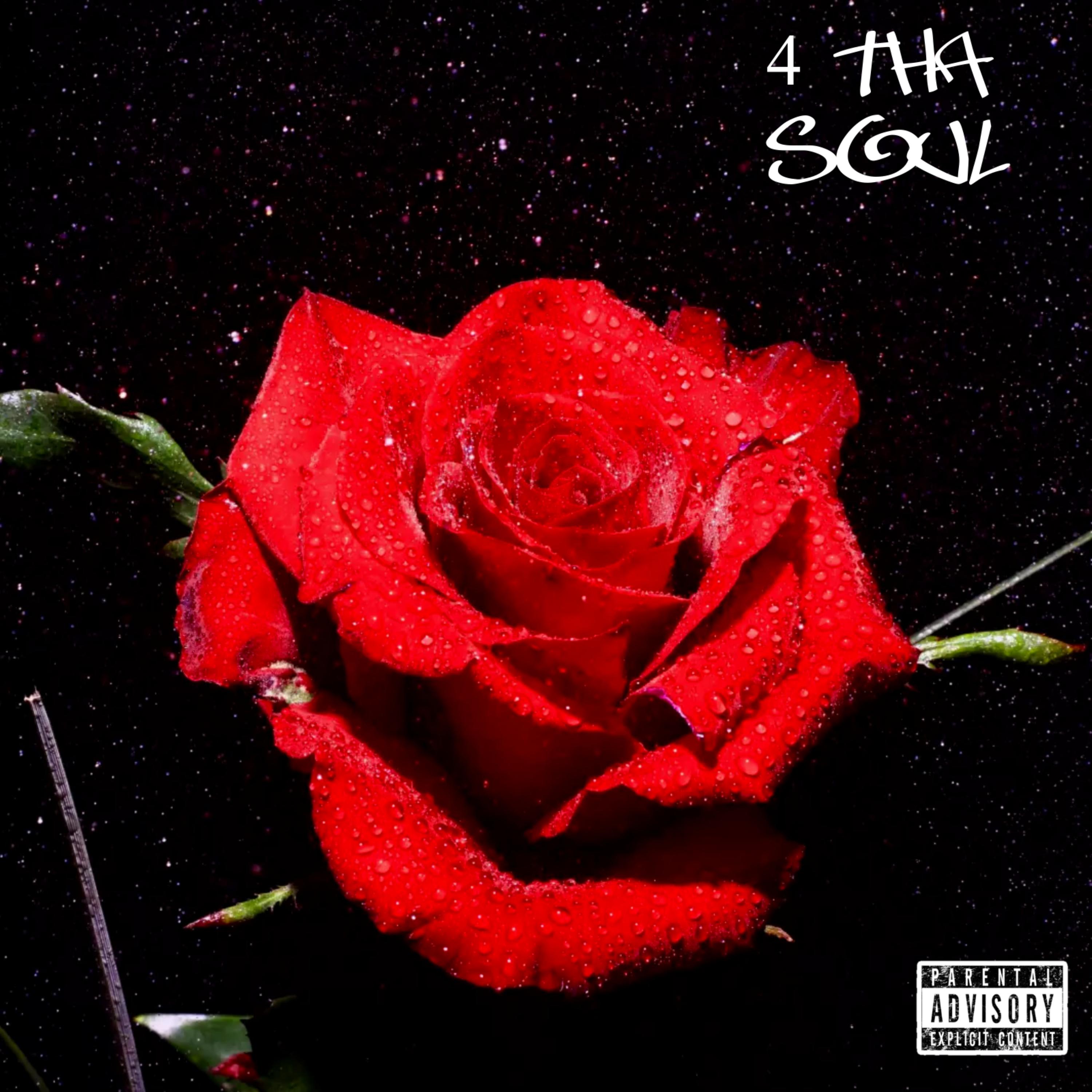 4 Tha Soul artwork