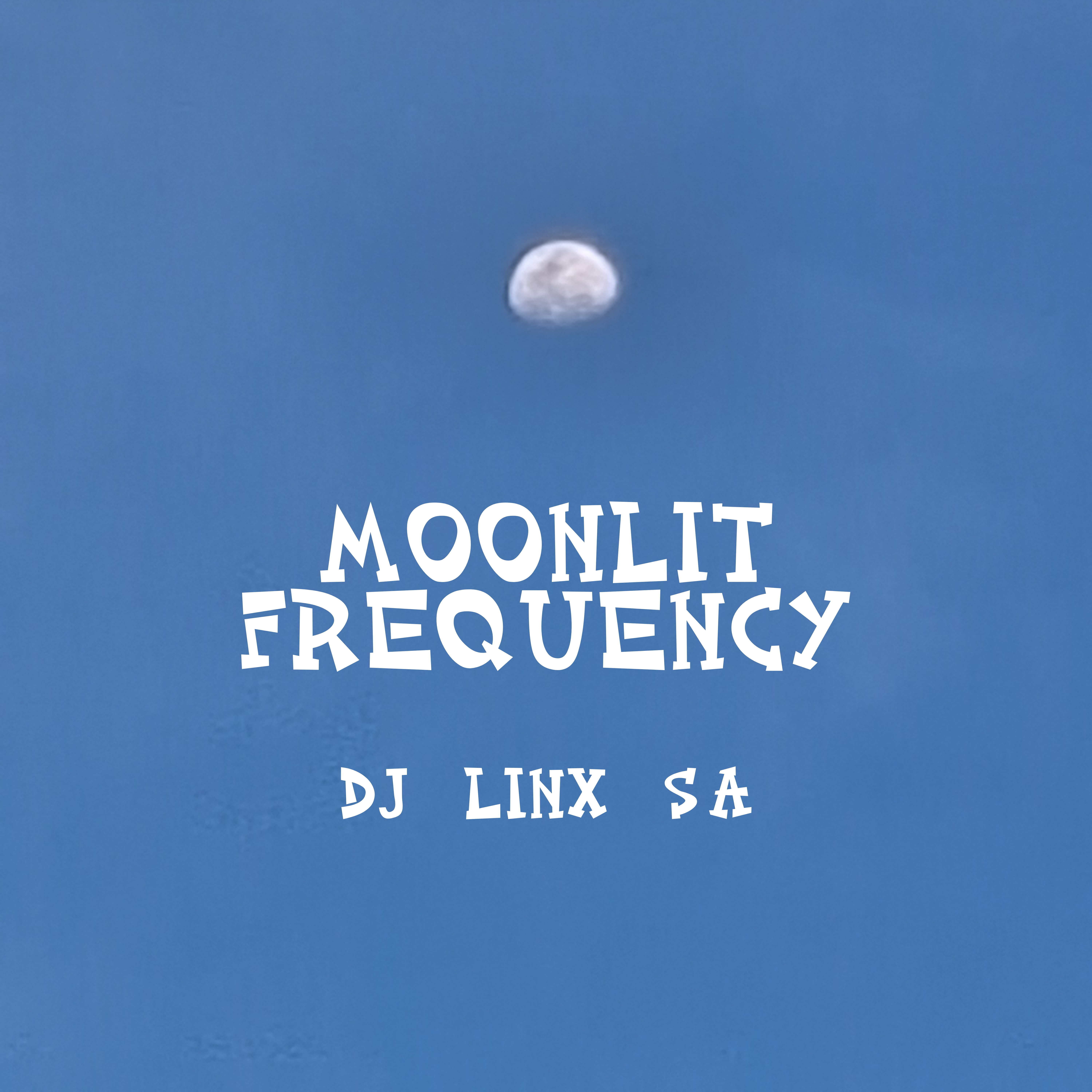 Moonlit Frequency artwork