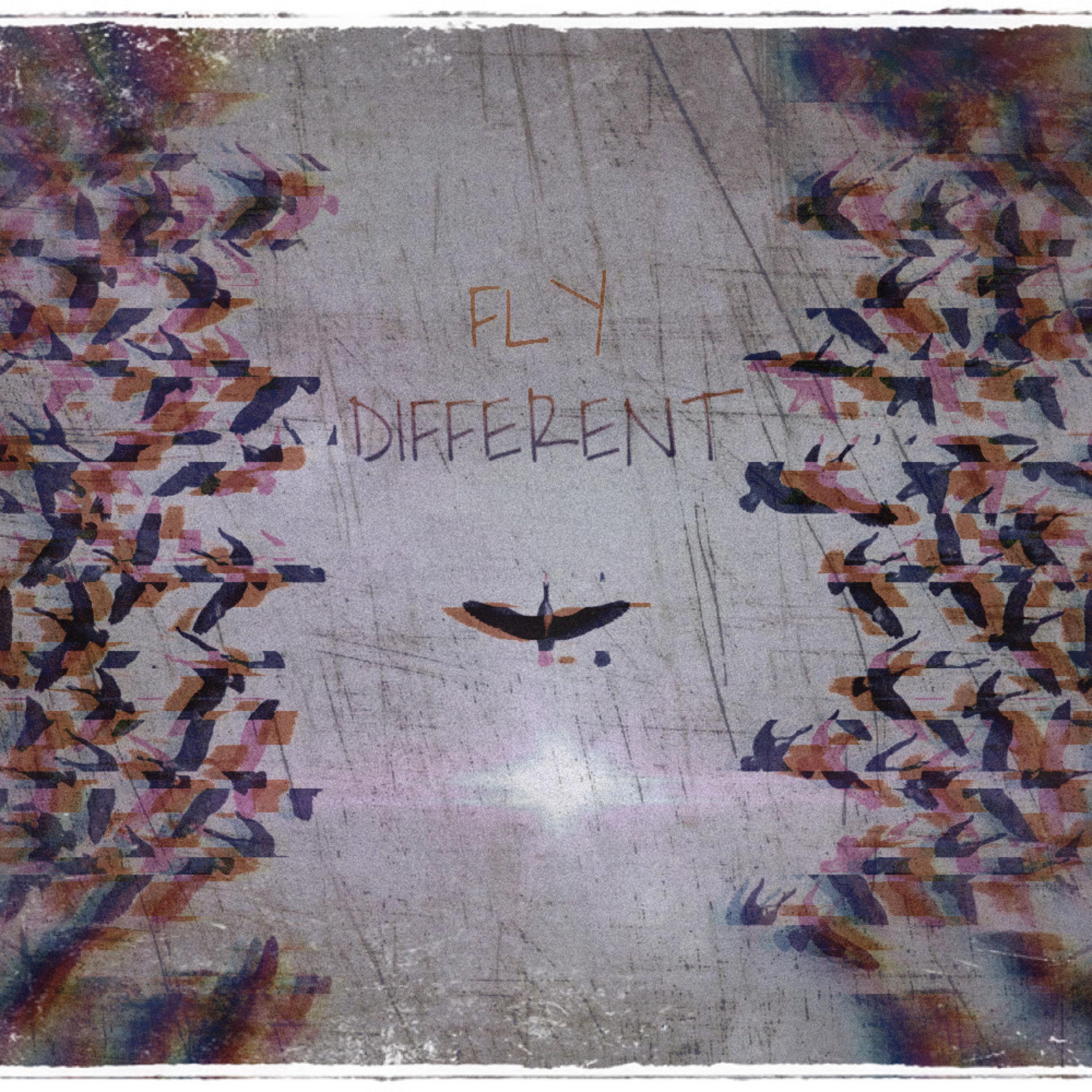 Fly Different artwork