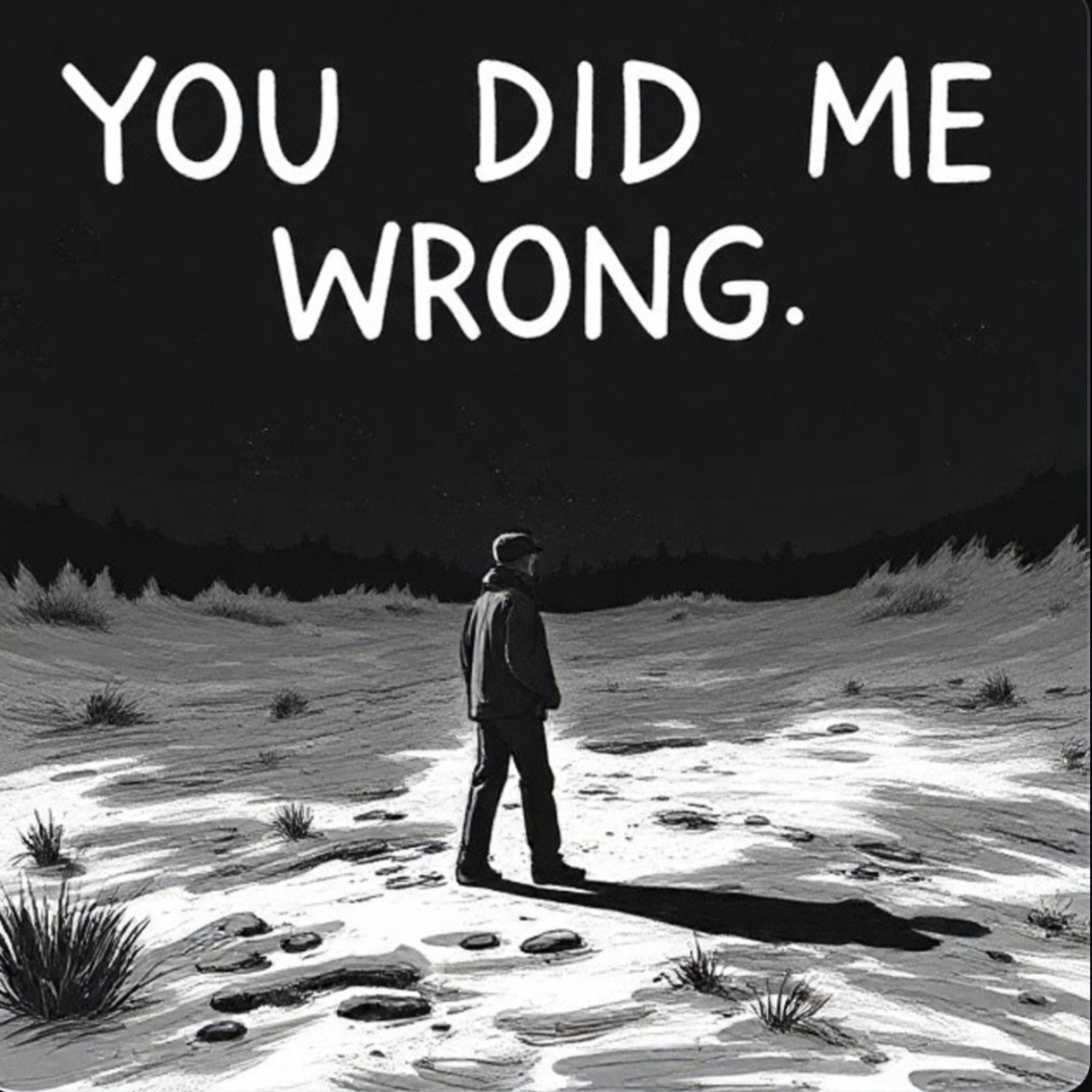 did me wrong artwork