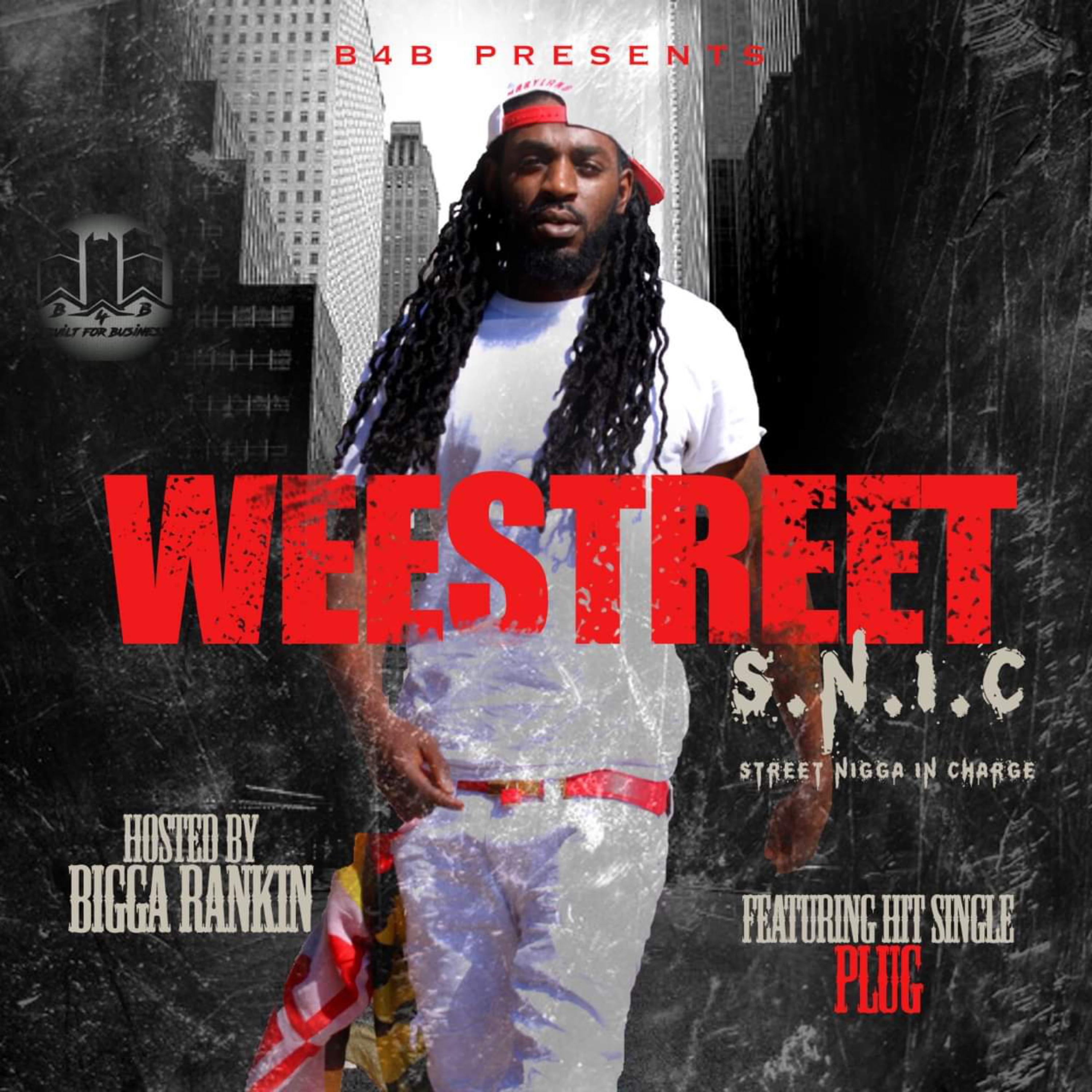 Street niggas in charge artwork