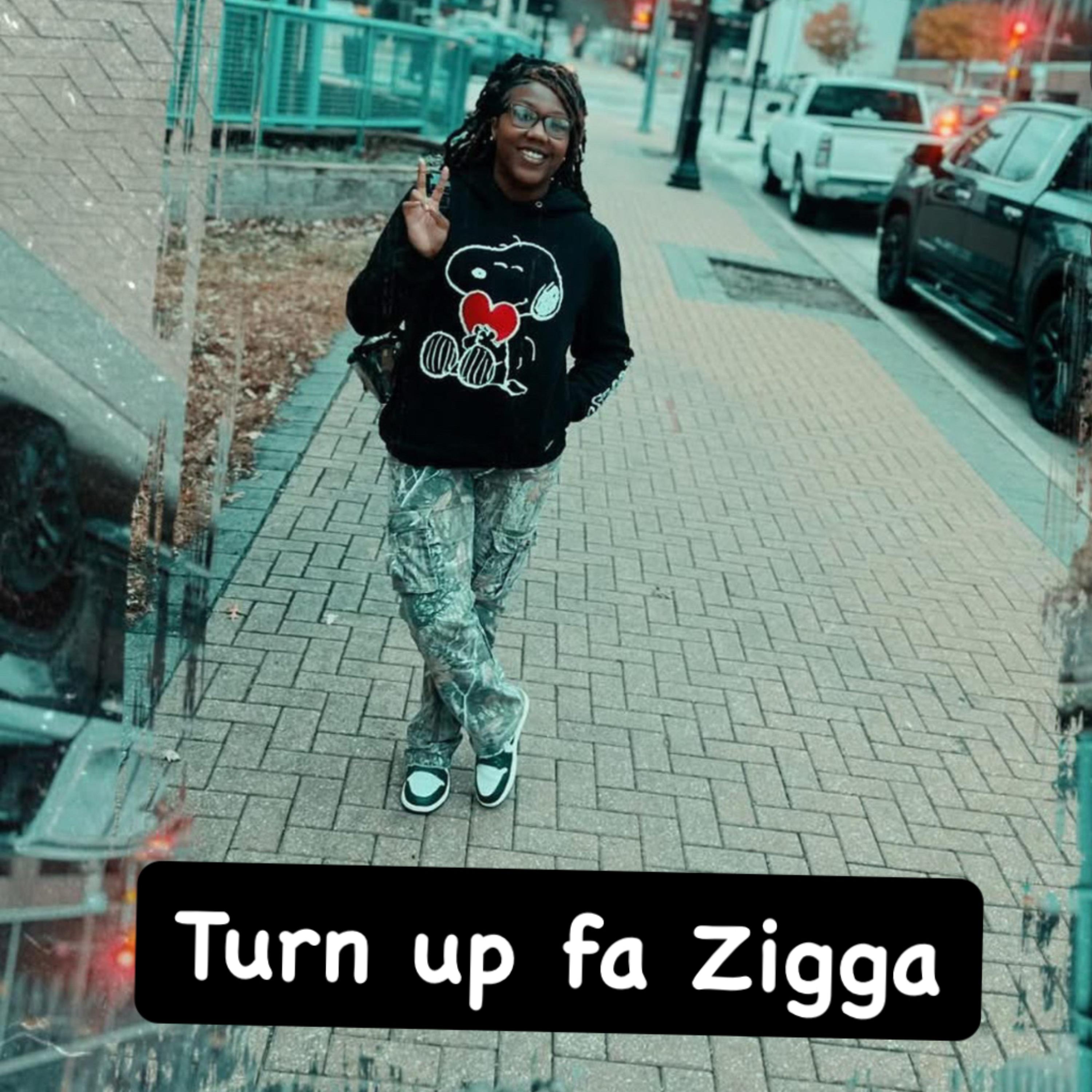 Turn Up Fa Zigga artwork