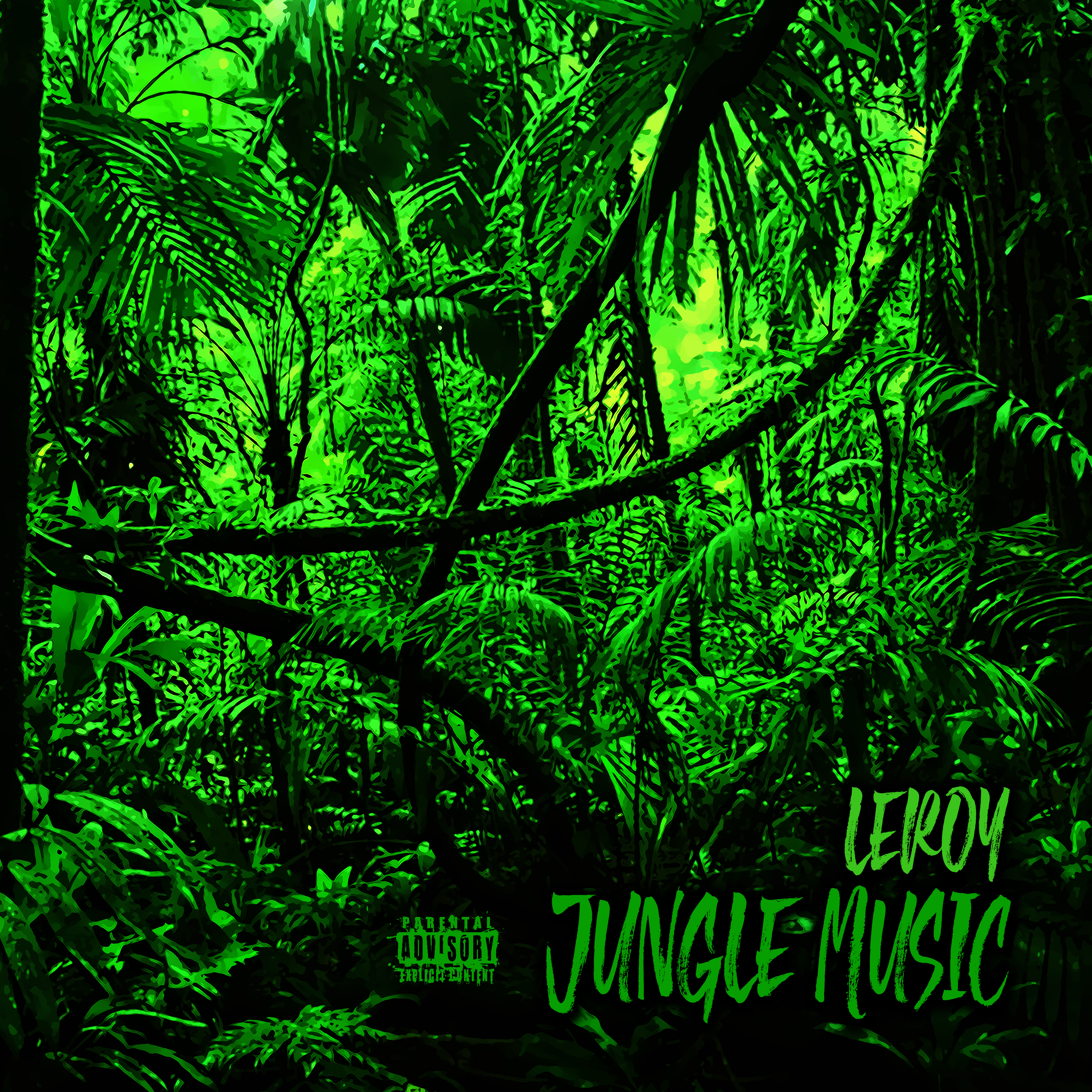 JUNGLE MUSIC artwork