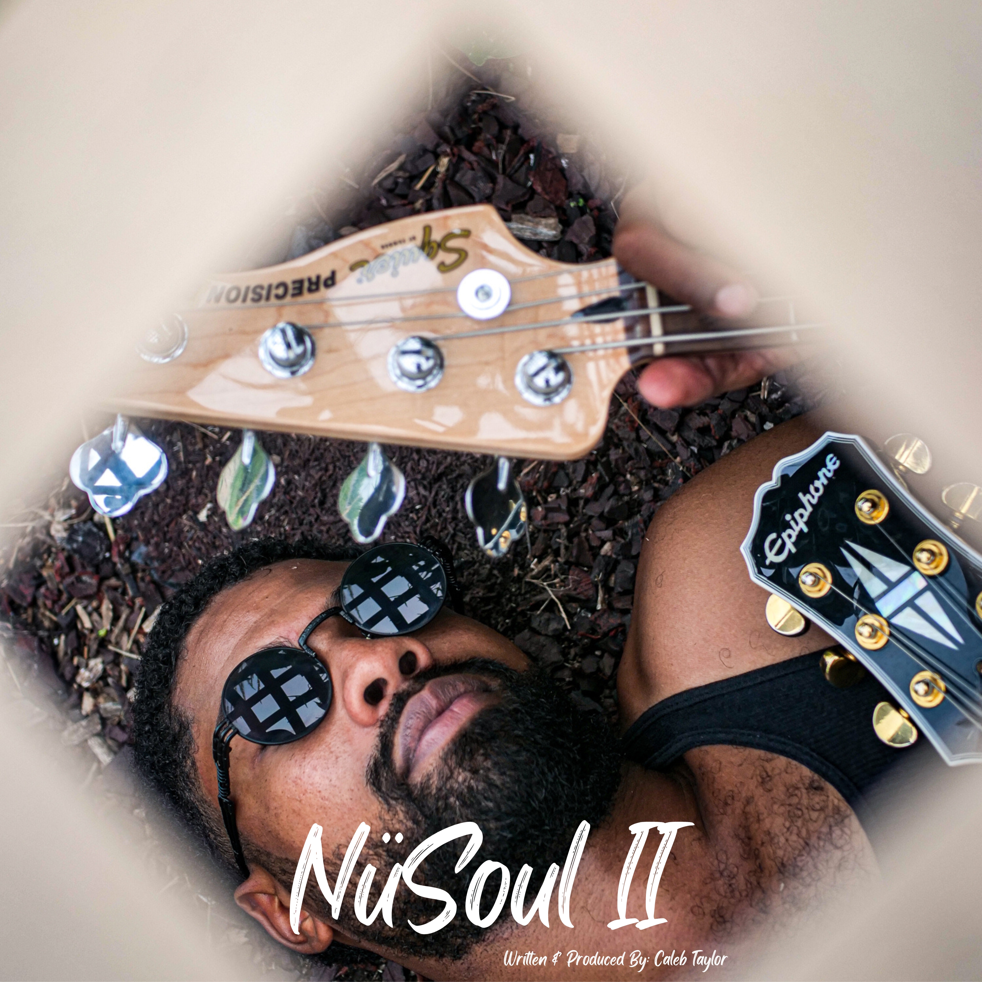 NüSoul II artwork