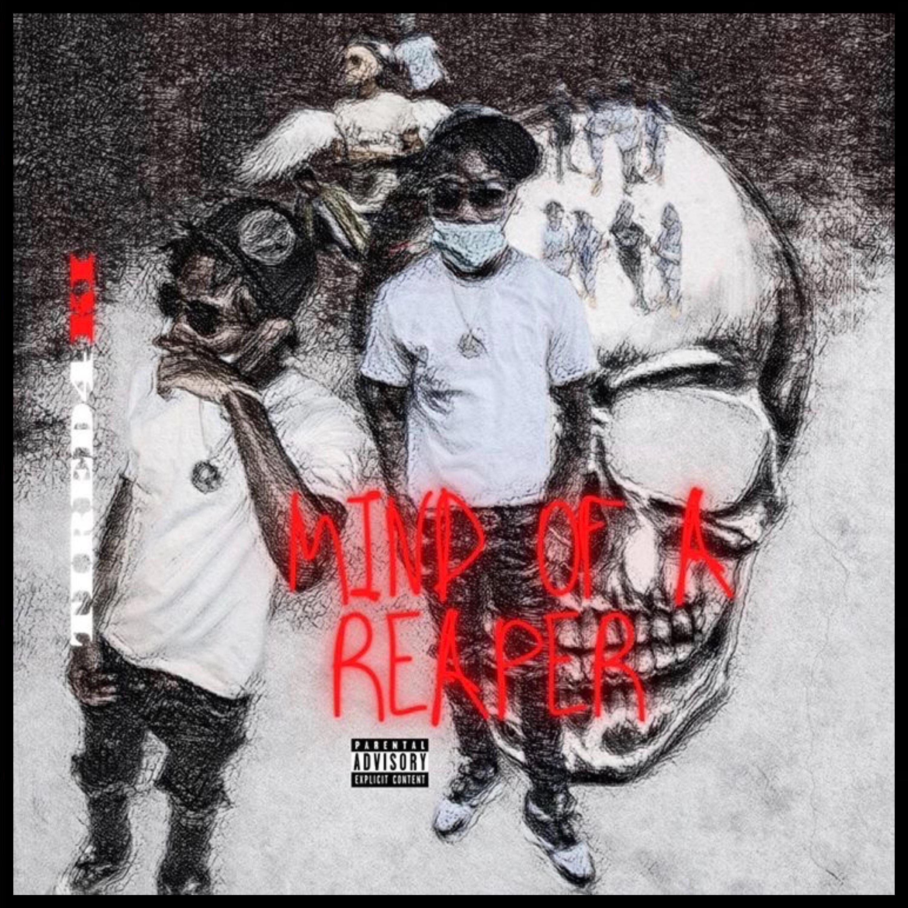 Mind Of A Reaper artwork