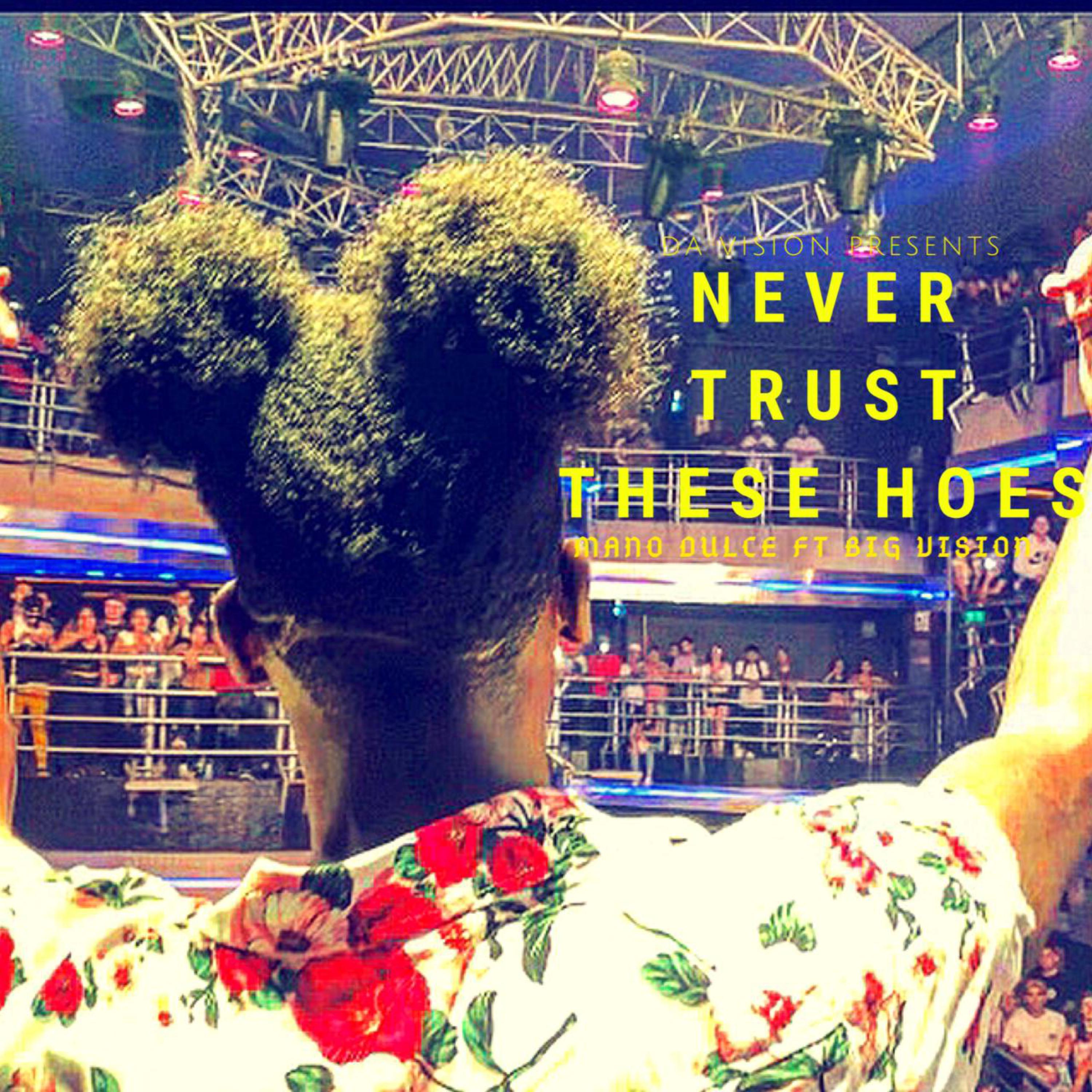 Never Trust These Hoes artwork