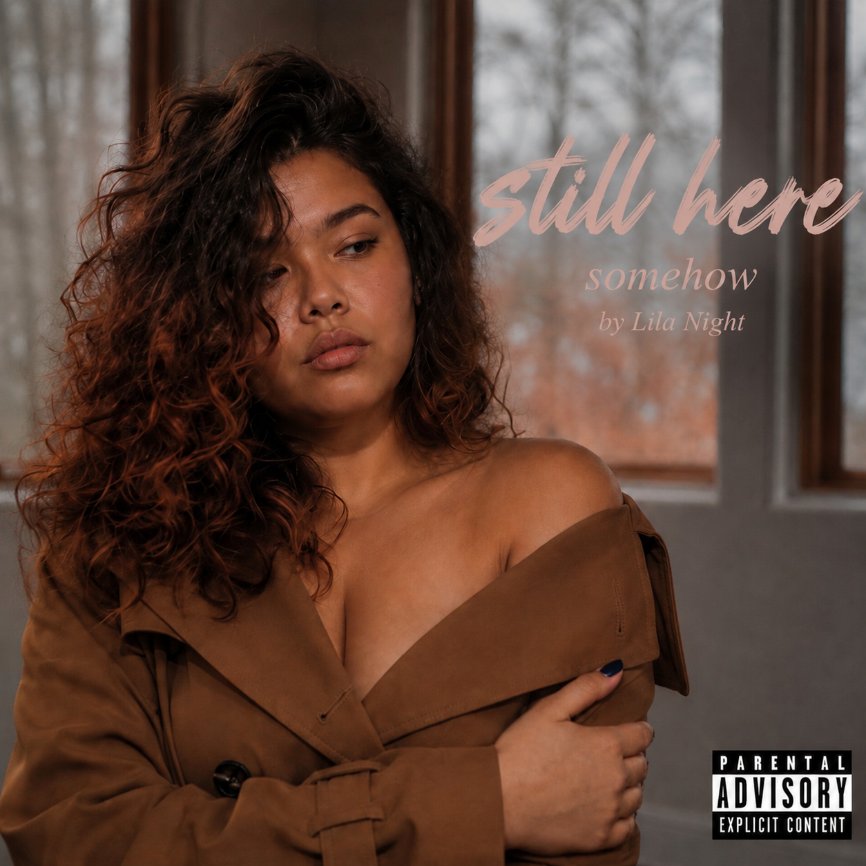 still here somehow artwork