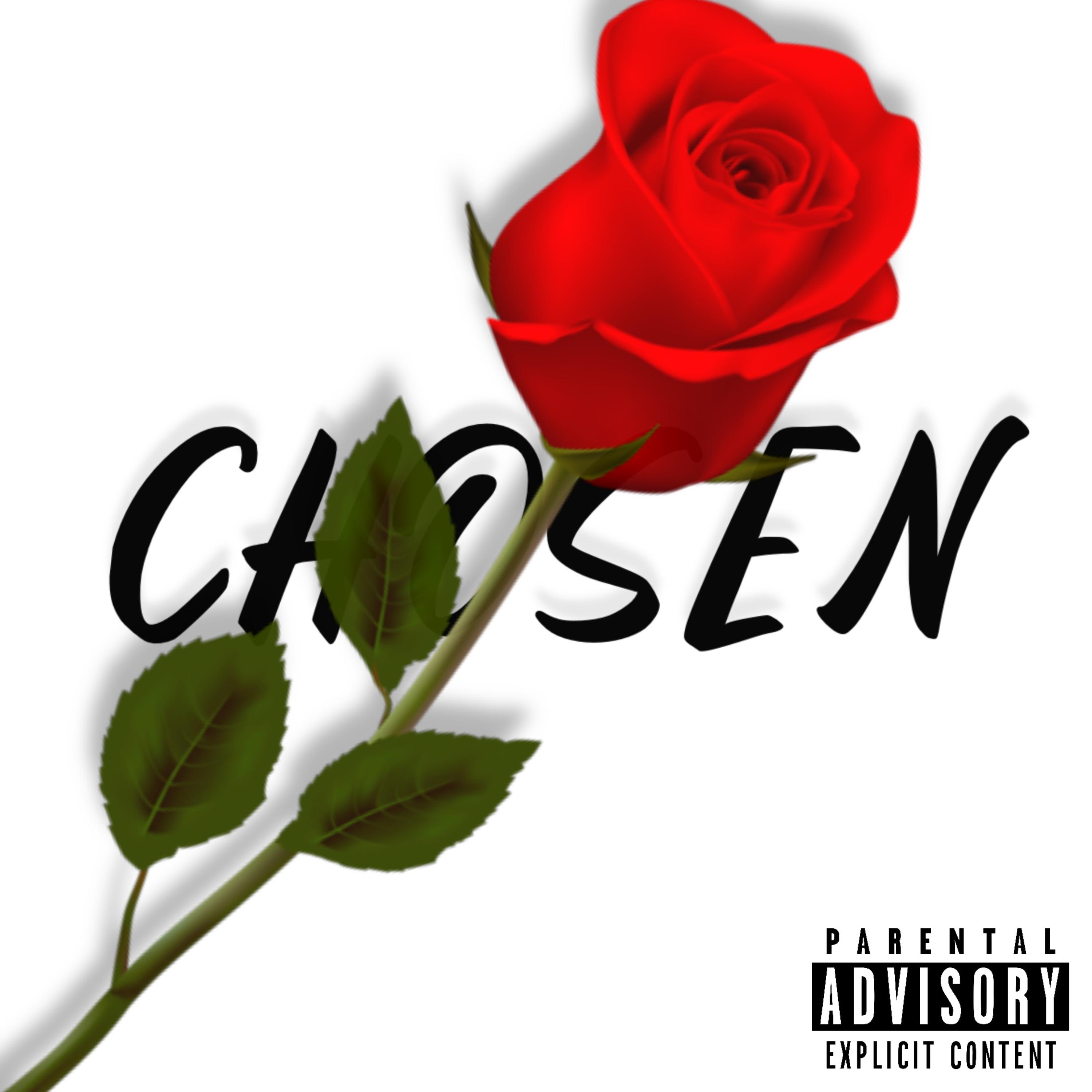Chosen artwork