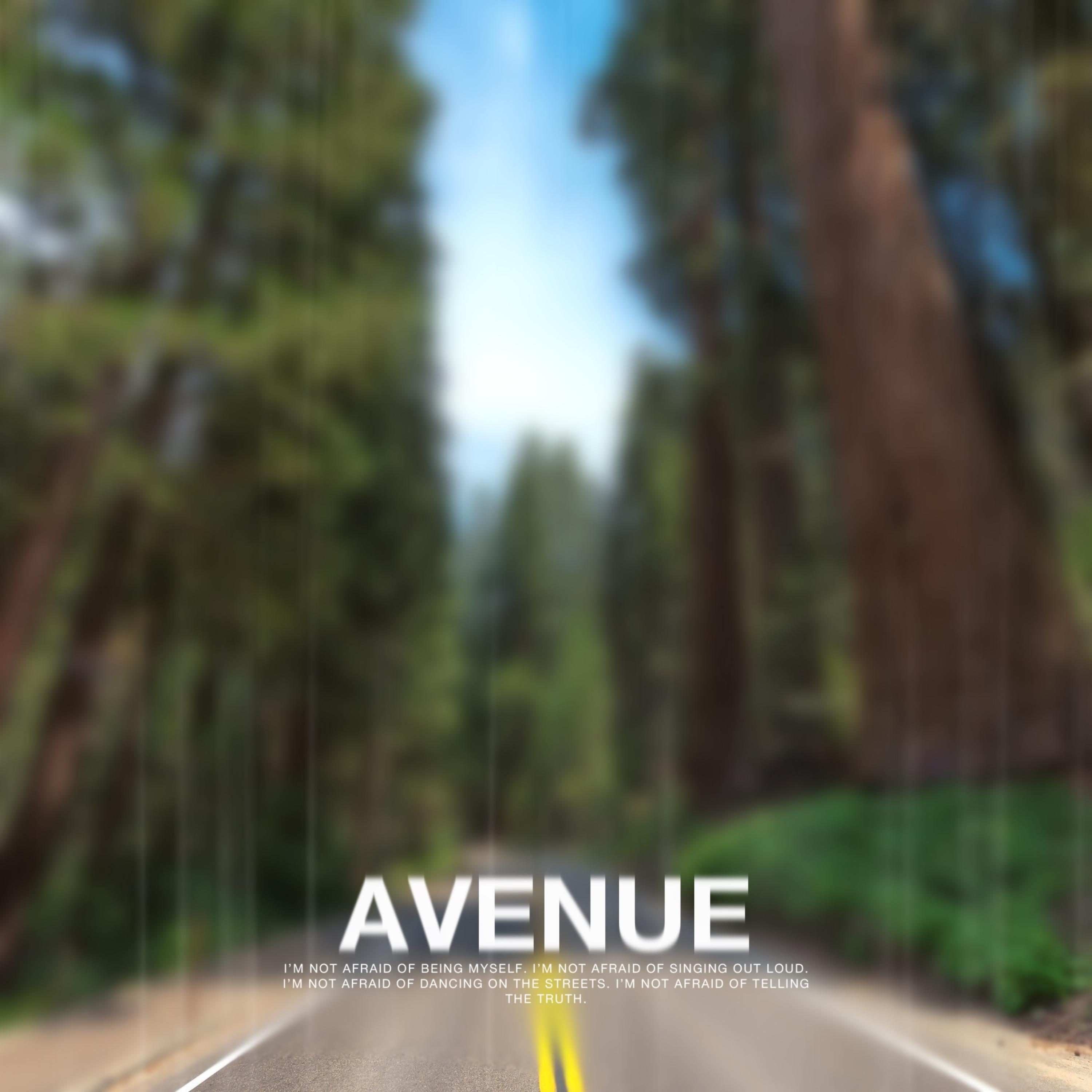 AVENUE artwork