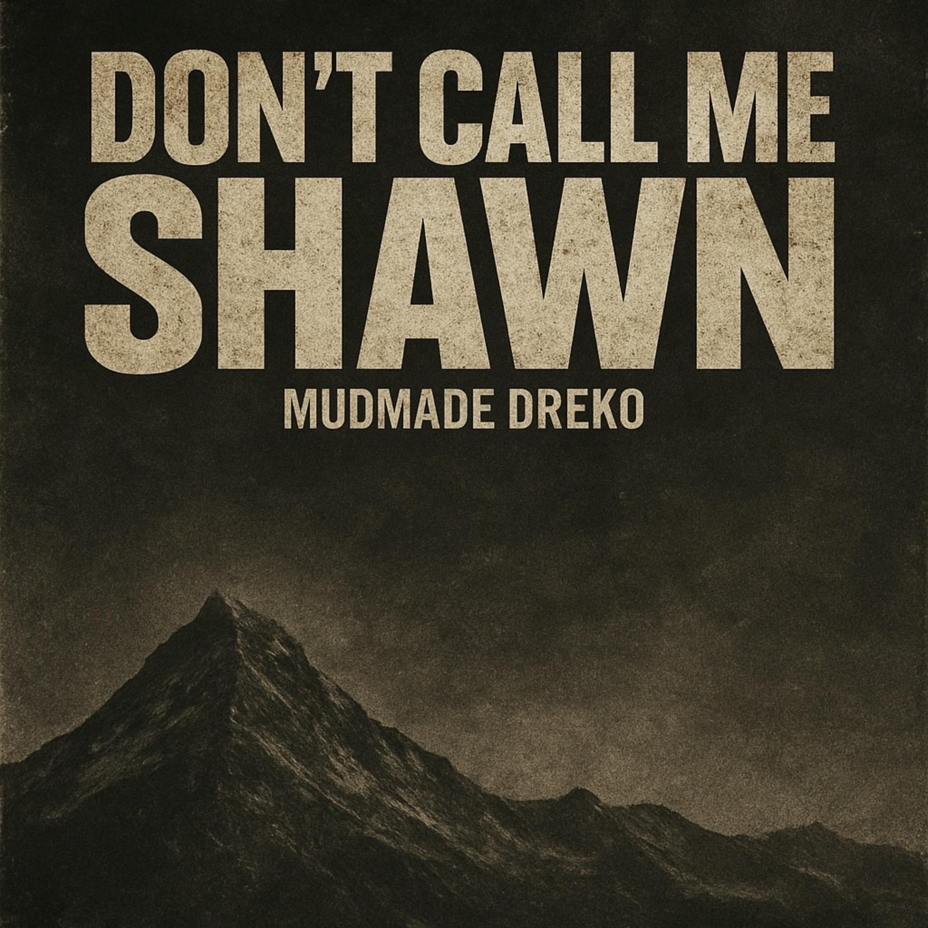 DONT CALL ME SHAWN artwork