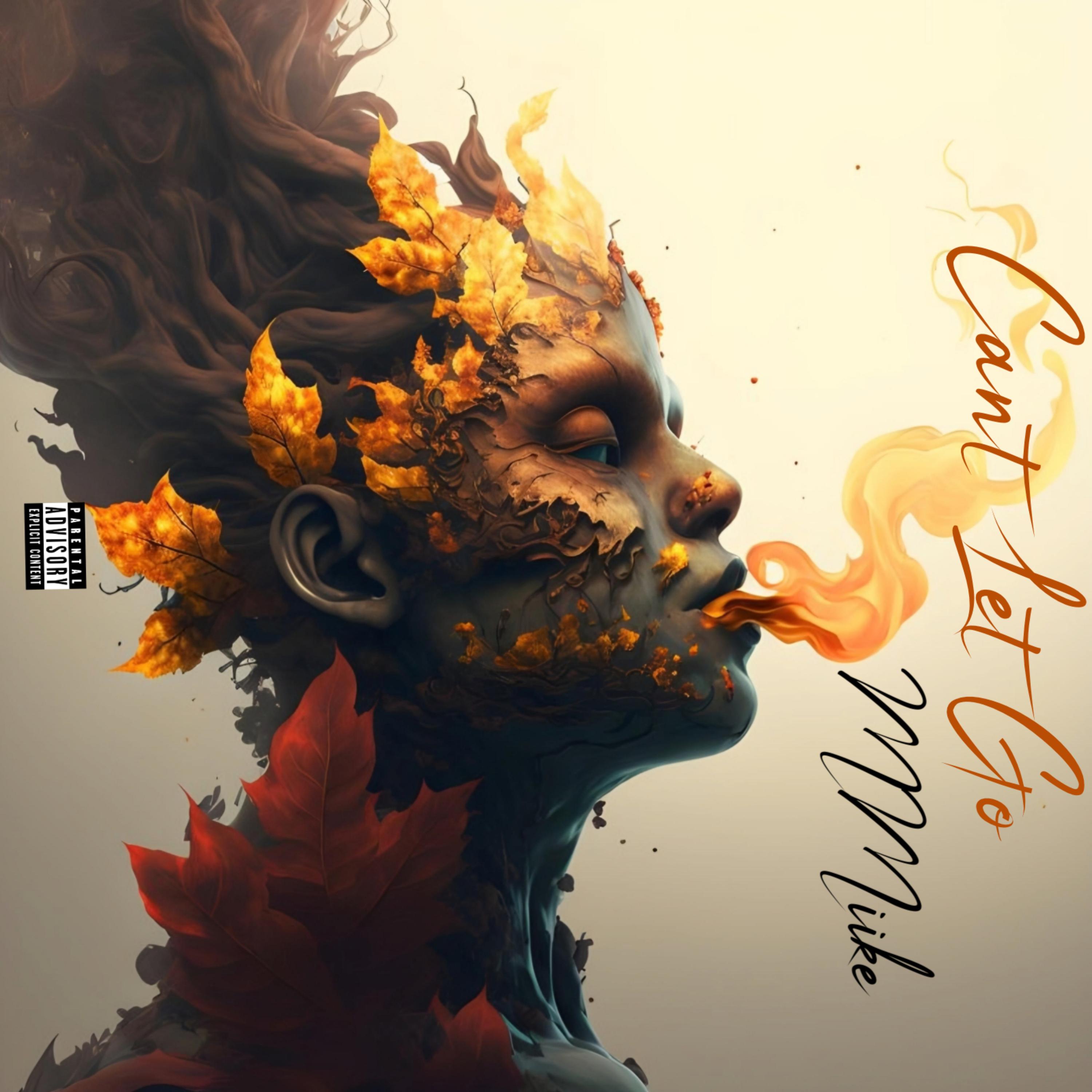 Can't Let Go artwork