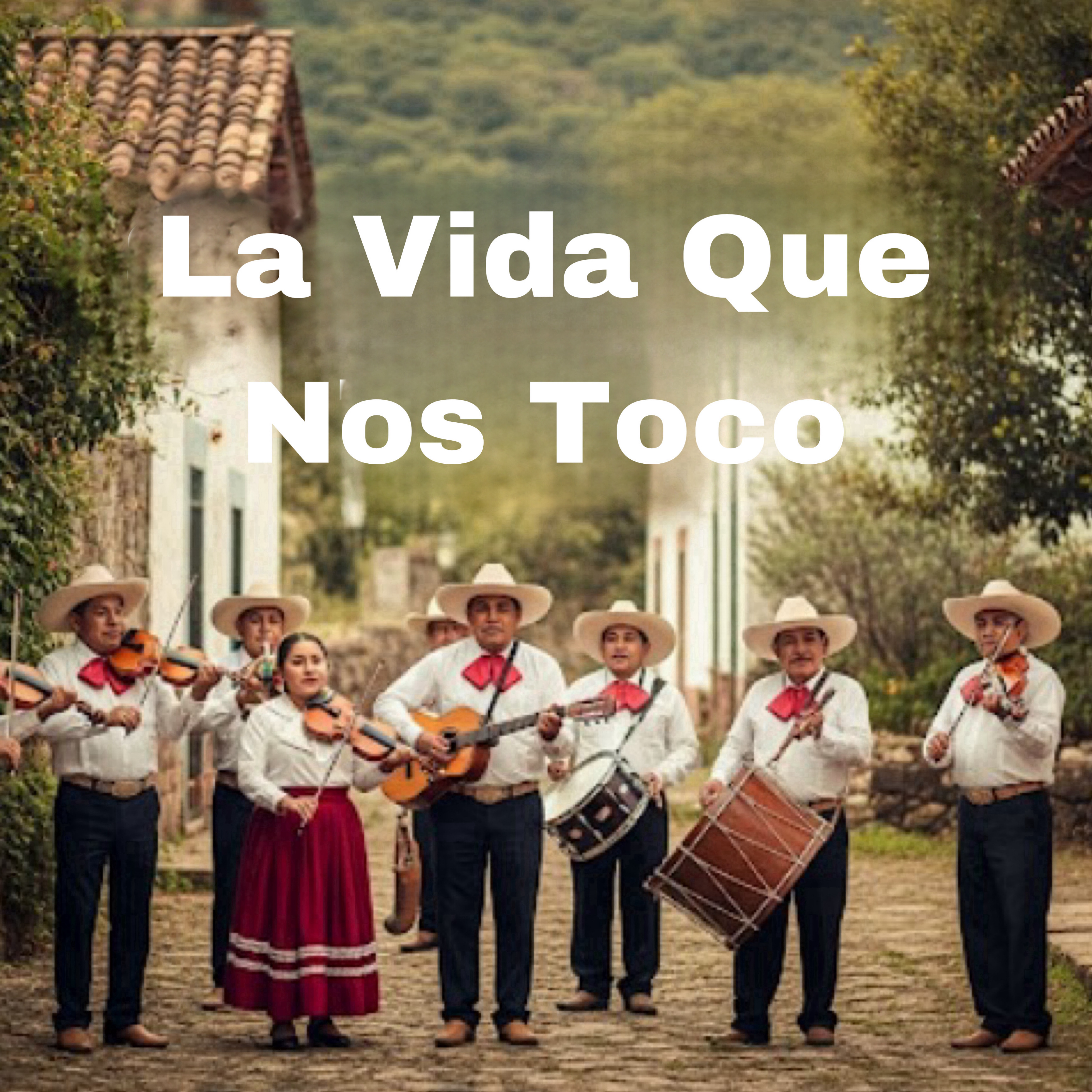 La Vida Que Nod Toco artwork