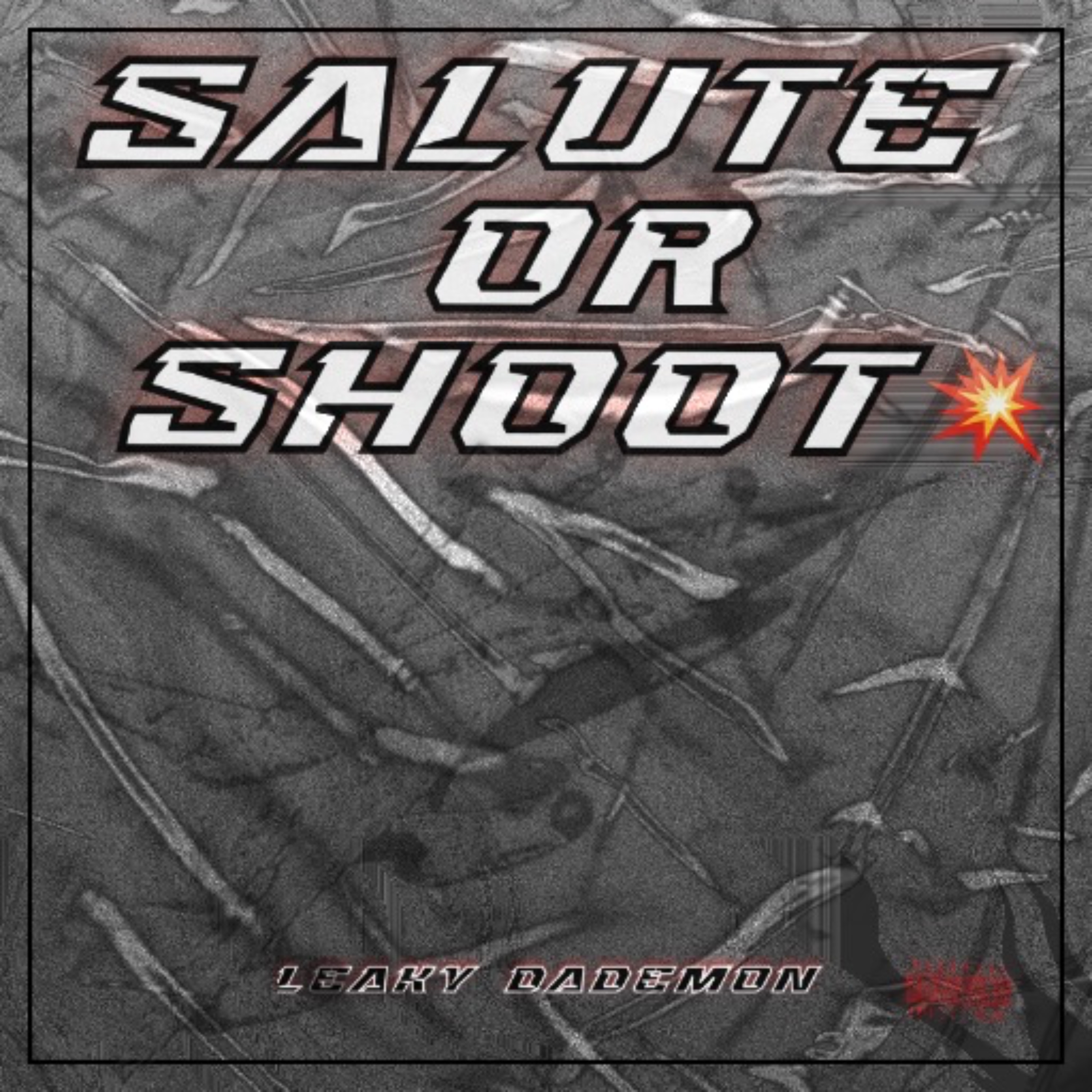 Salute Or Shoot artwork