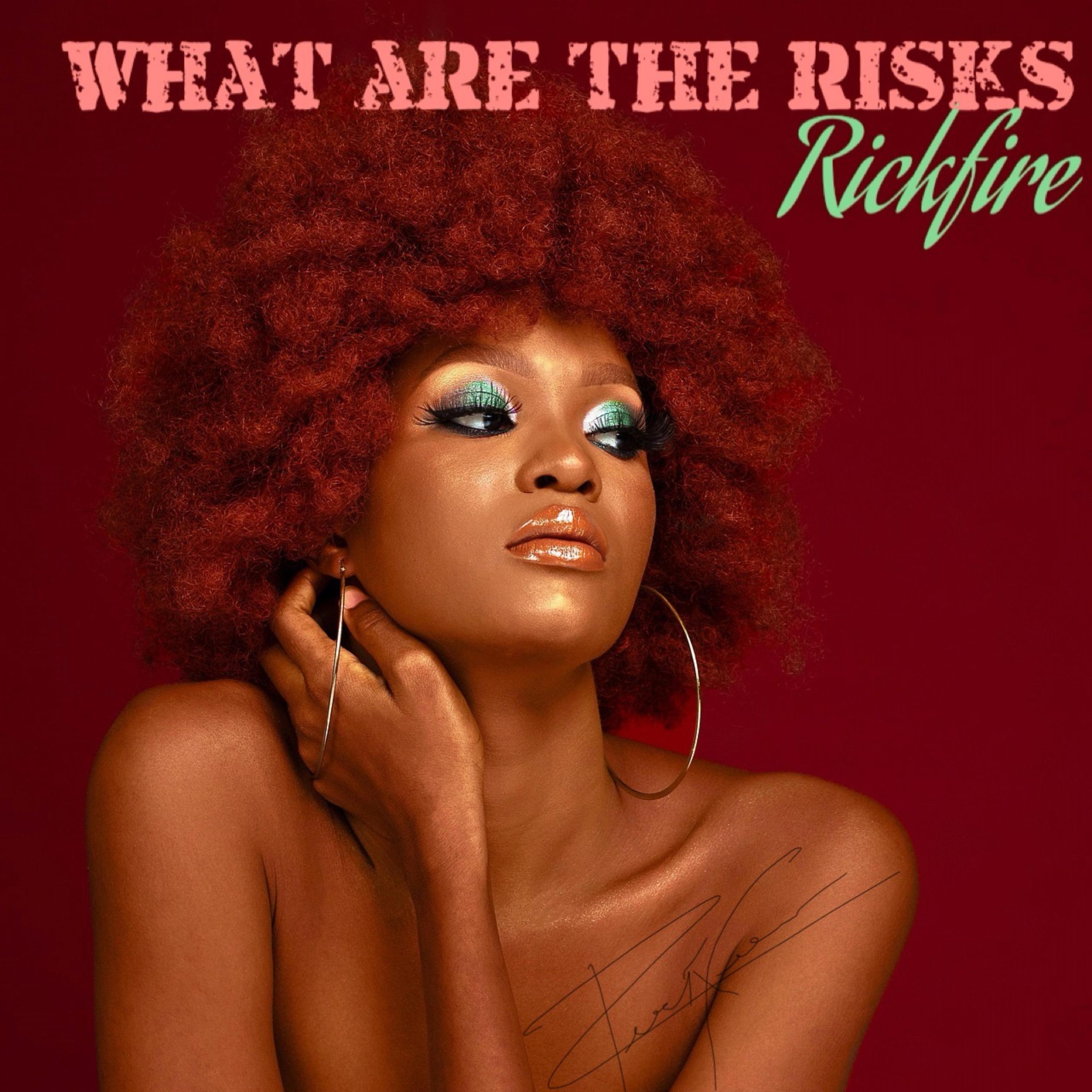 What Are The Risks artwork