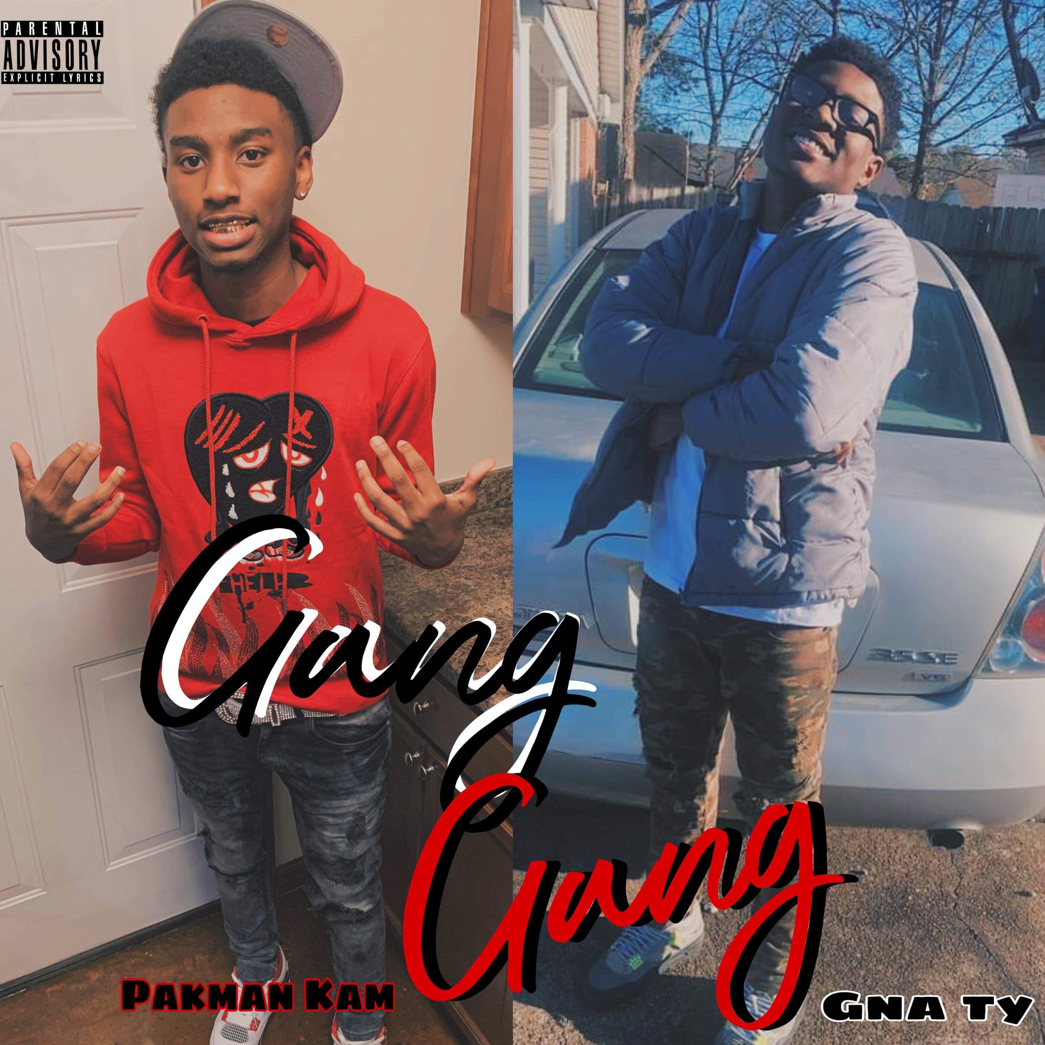 Gang Gang by Ty cover art