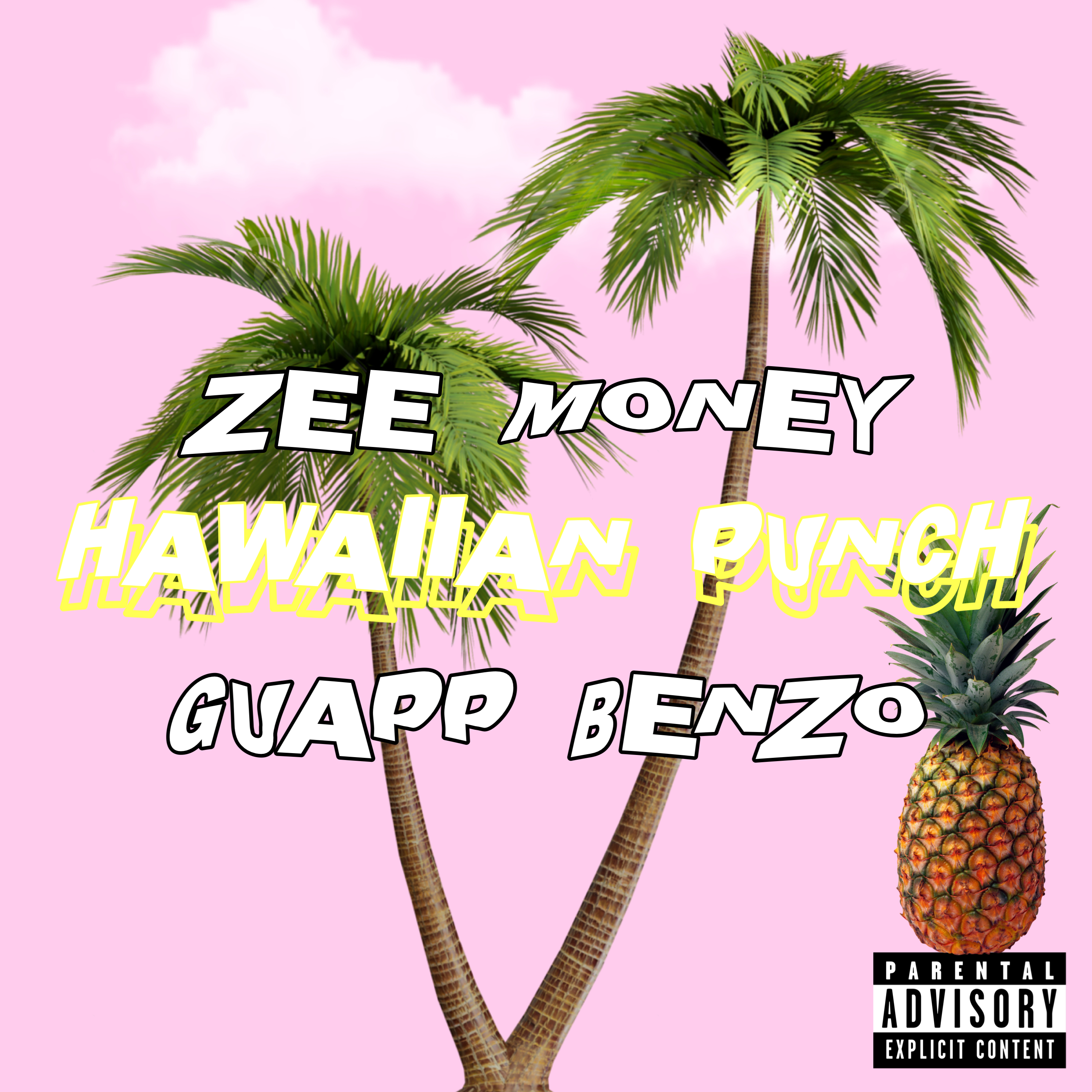 HAWAIIAN PUNCH artwork