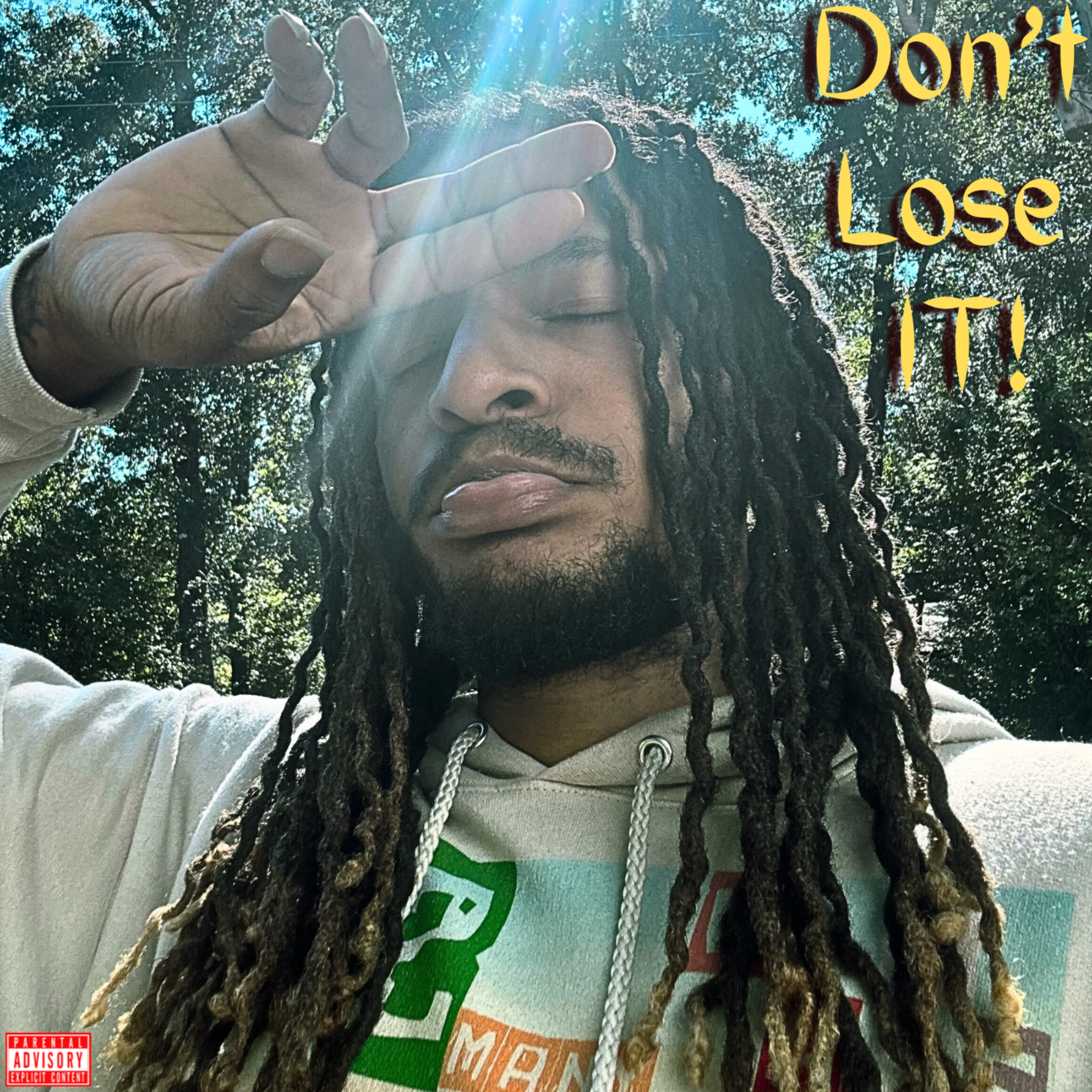 Don’t Lose IT! artwork