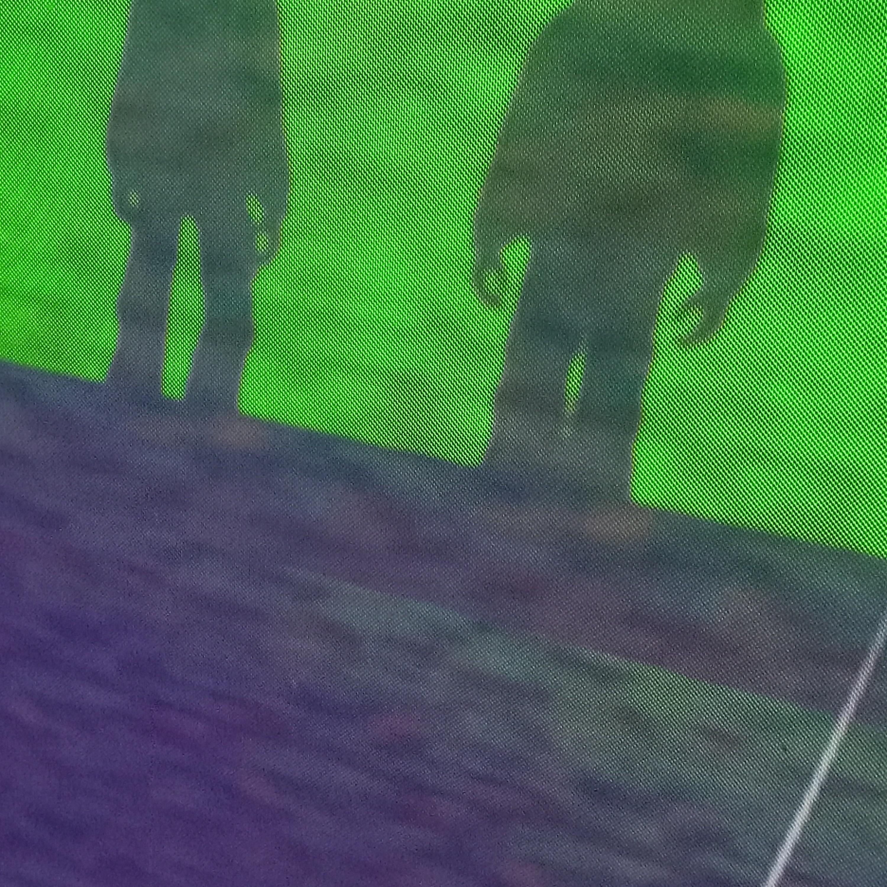 Sorry For What artwork