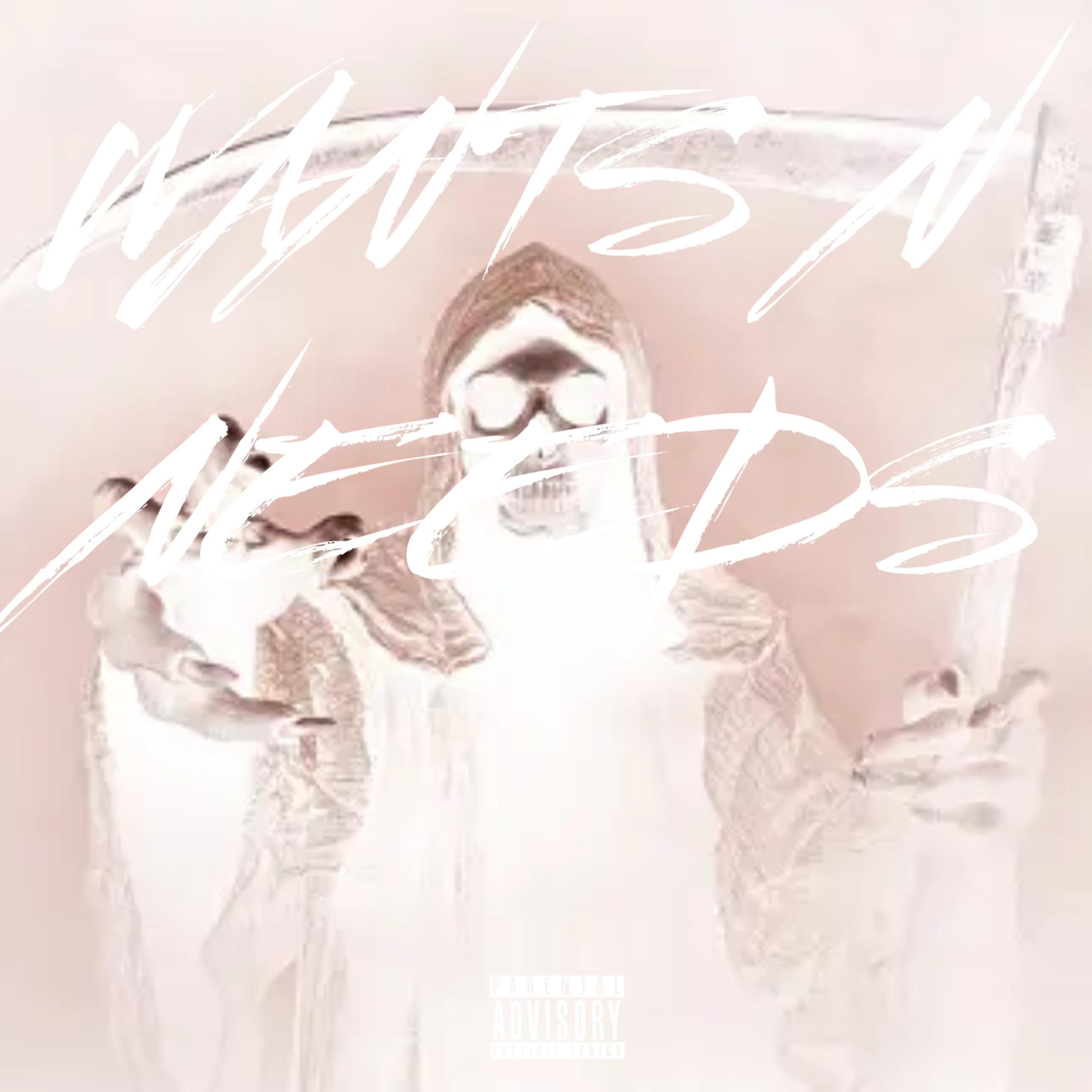 WANTS N NEEDS artwork