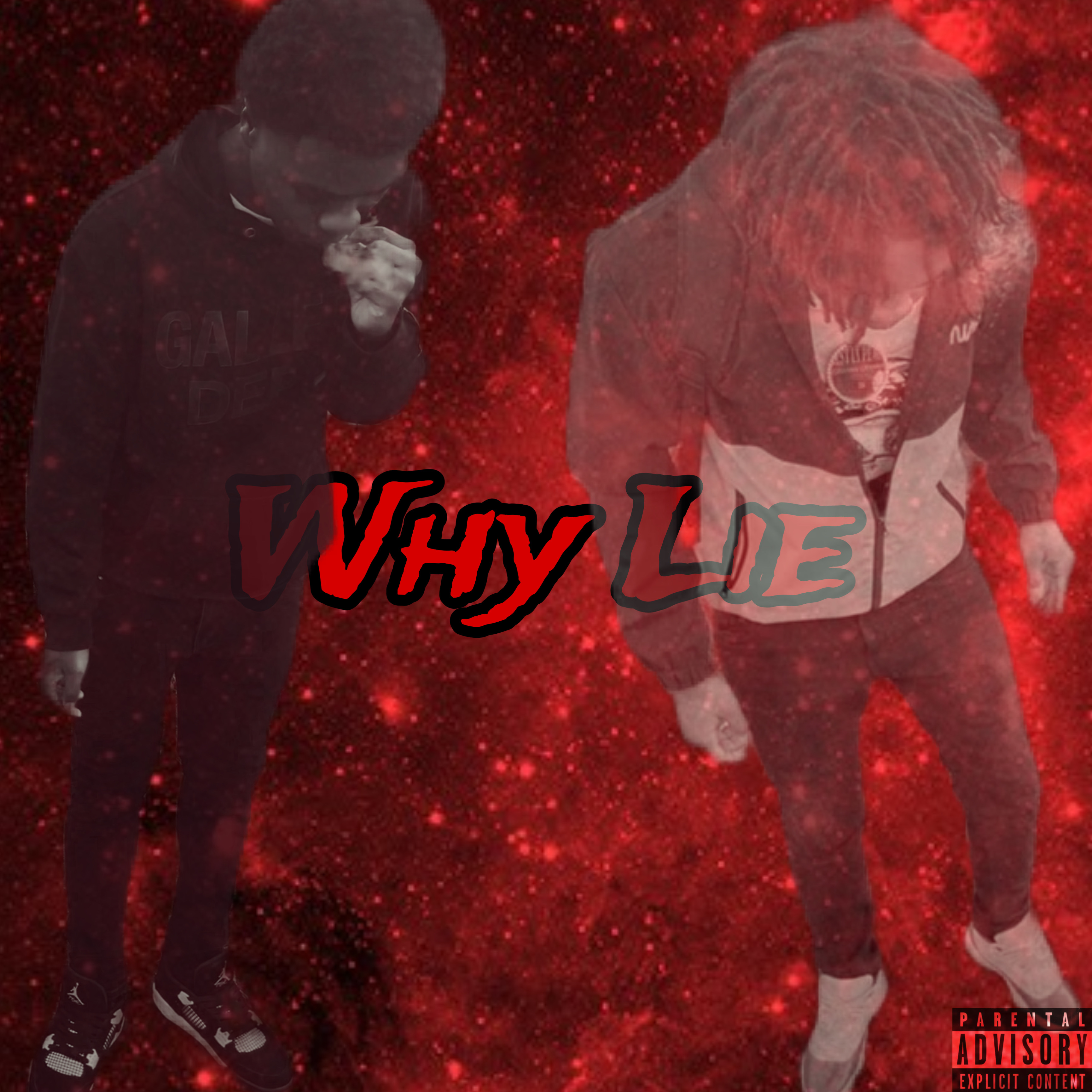 Why Lie artwork