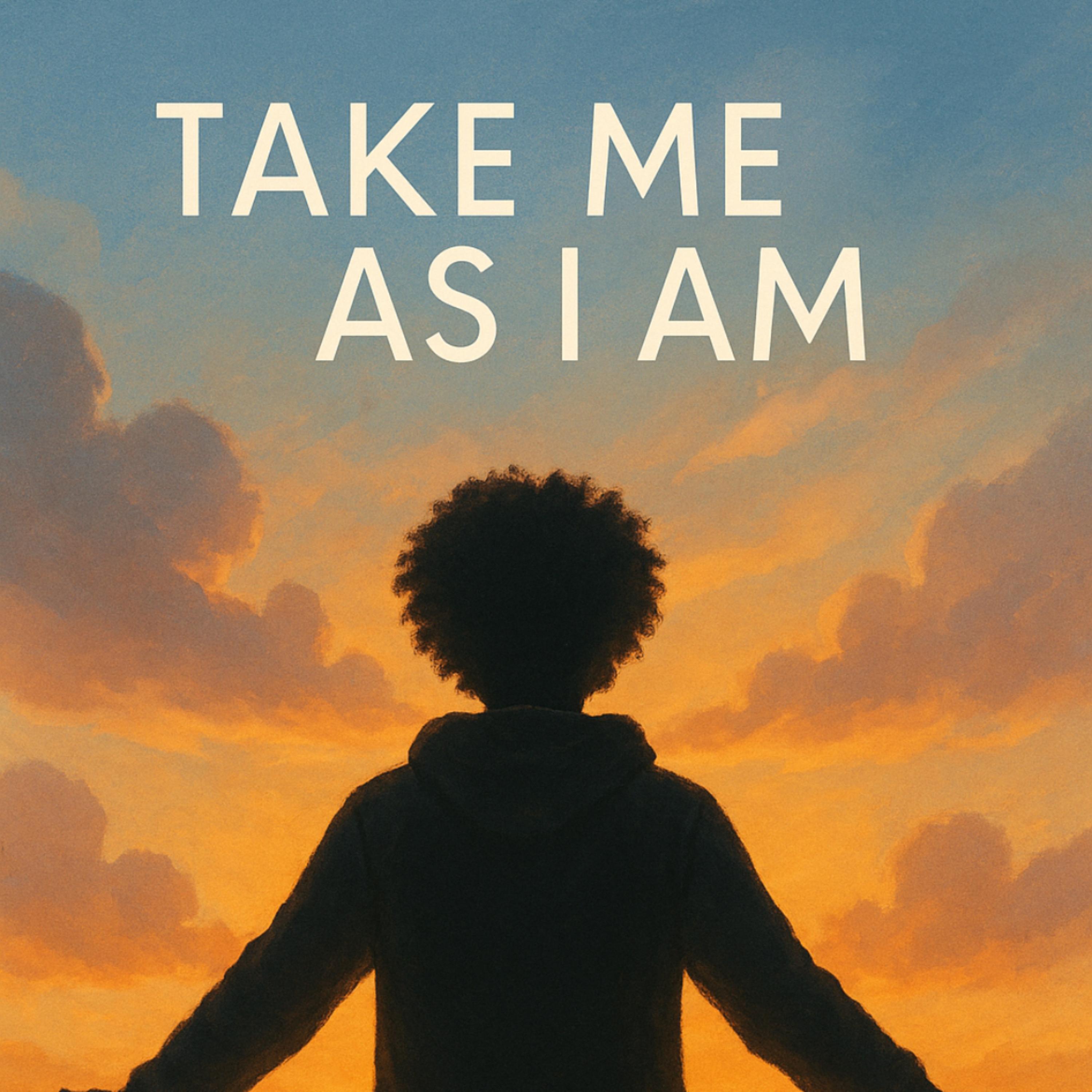 Take Me As I Am artwork