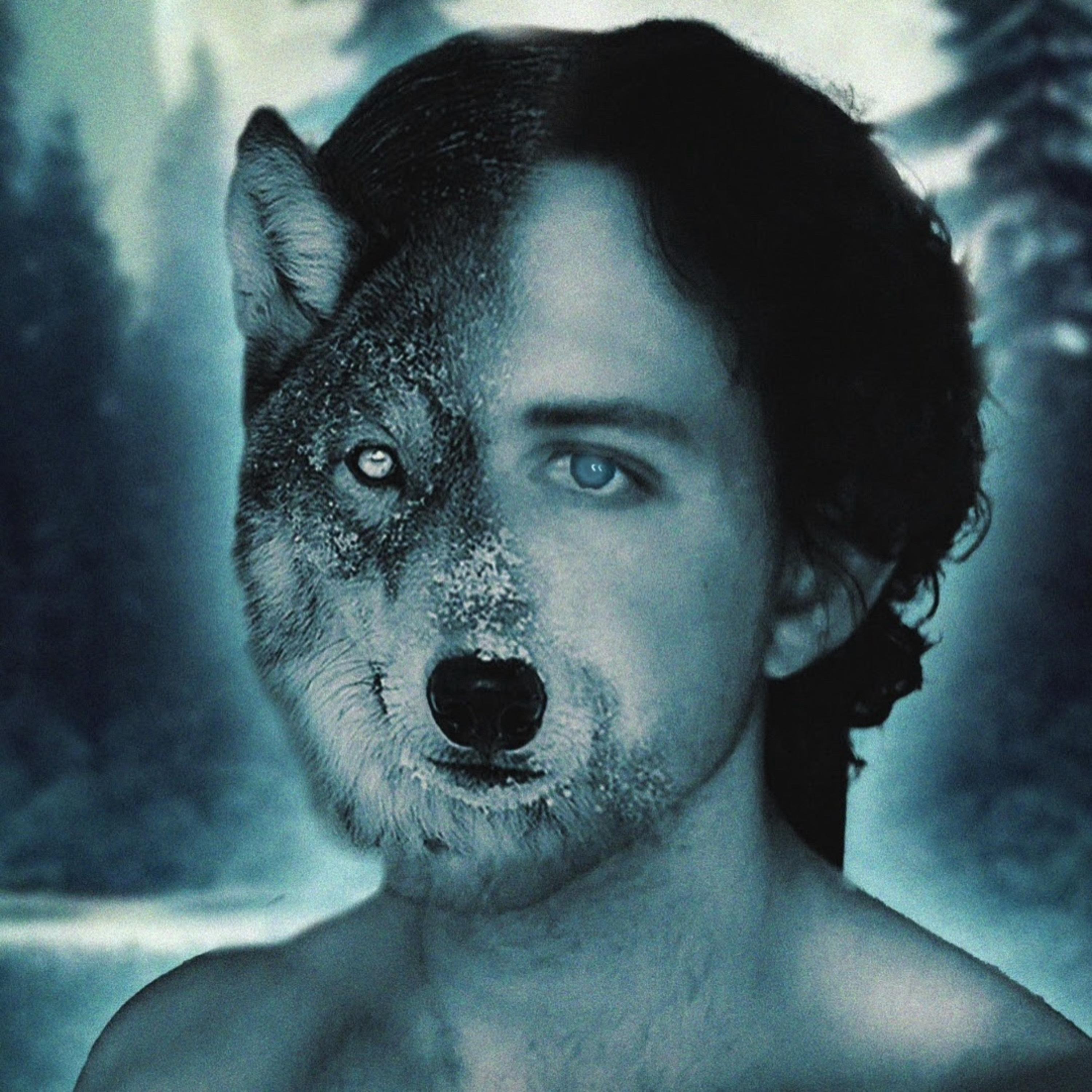 Lone Wolf artwork