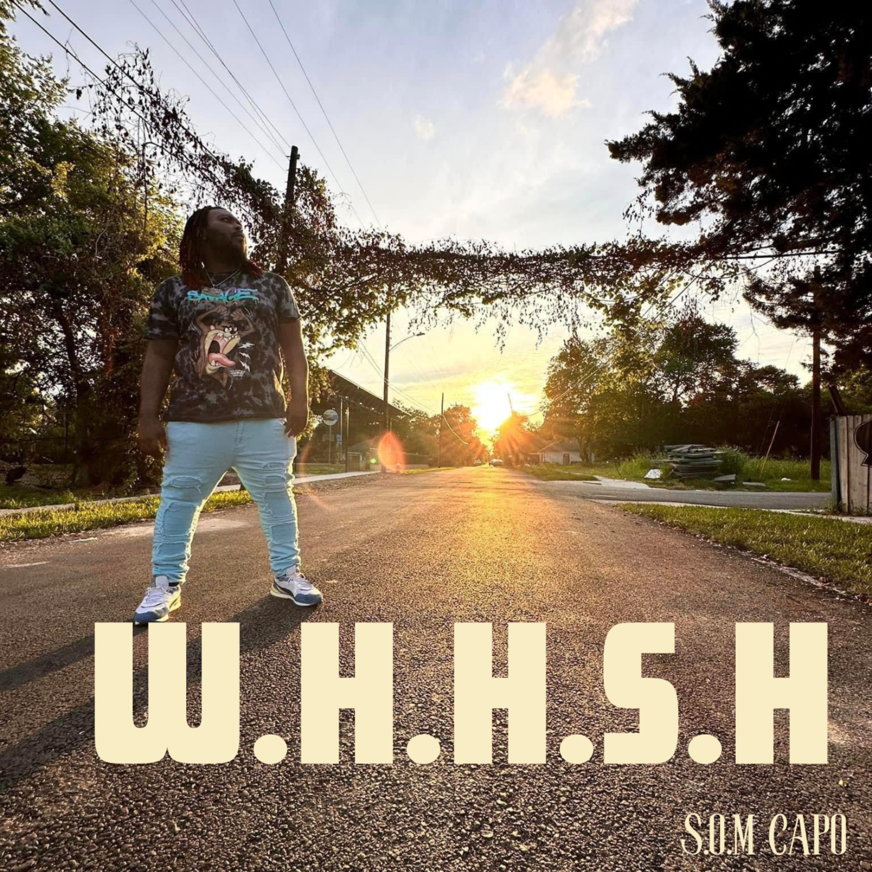 W.H.H.S.H artwork
