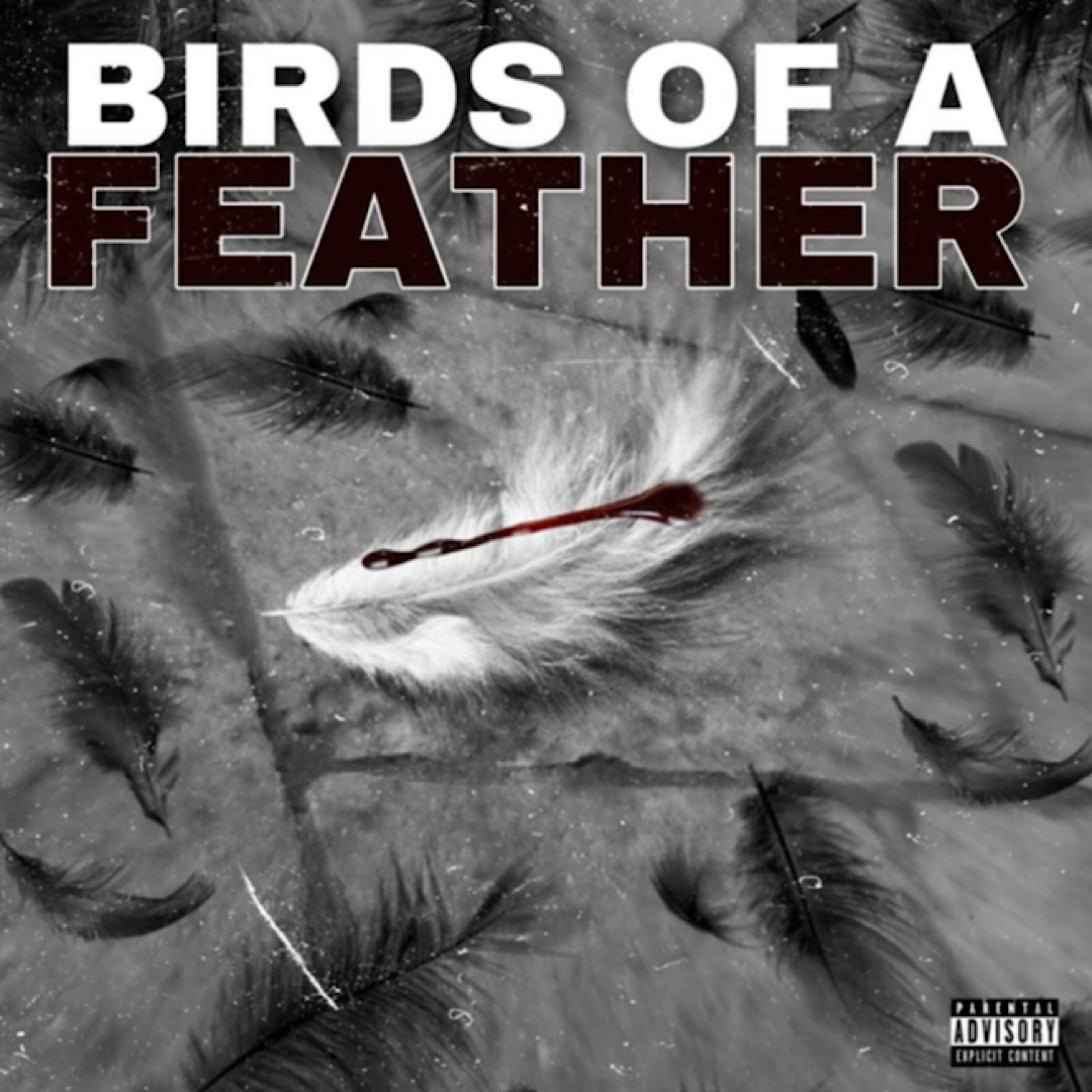 Birds Of A Feather artwork