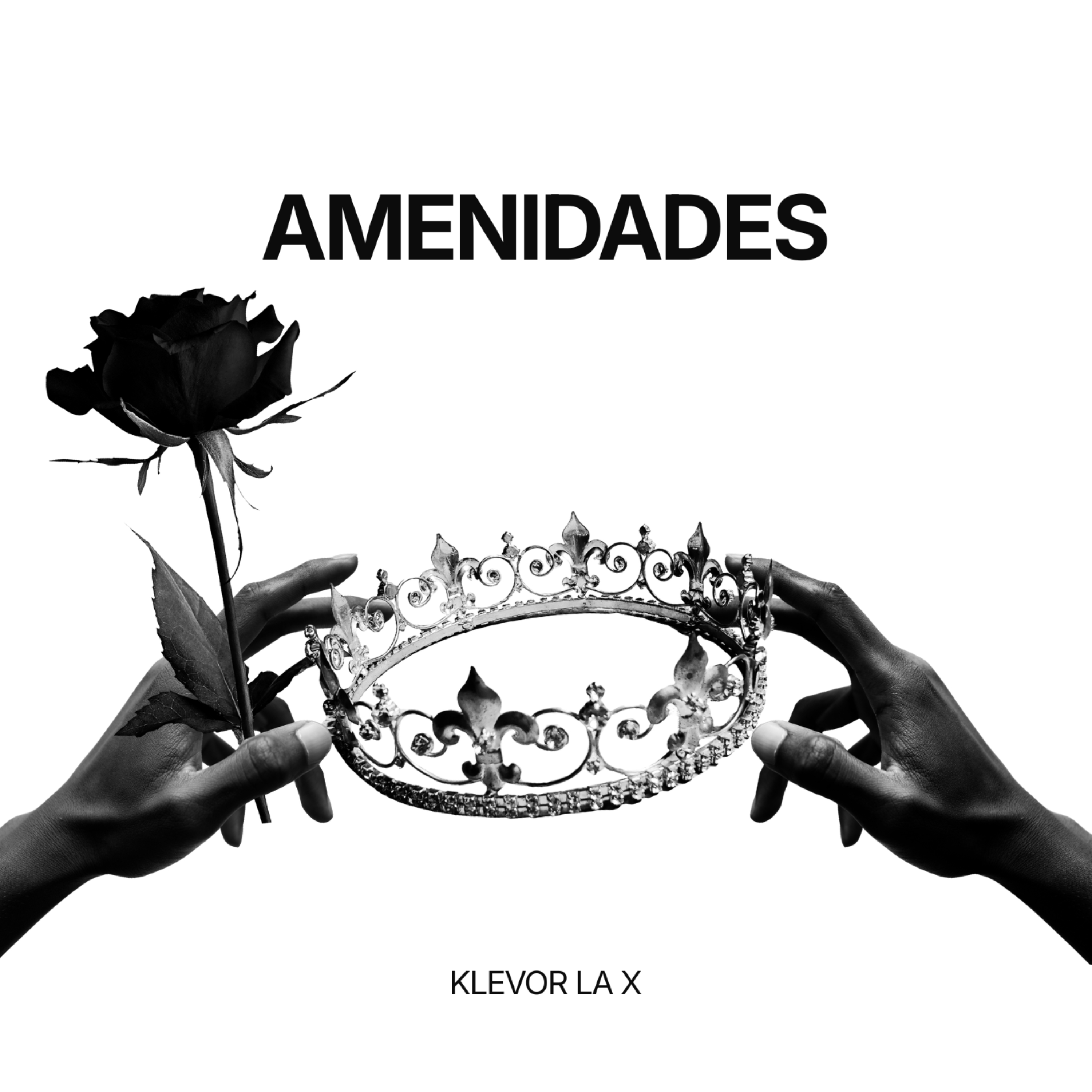 Amenidades artwork