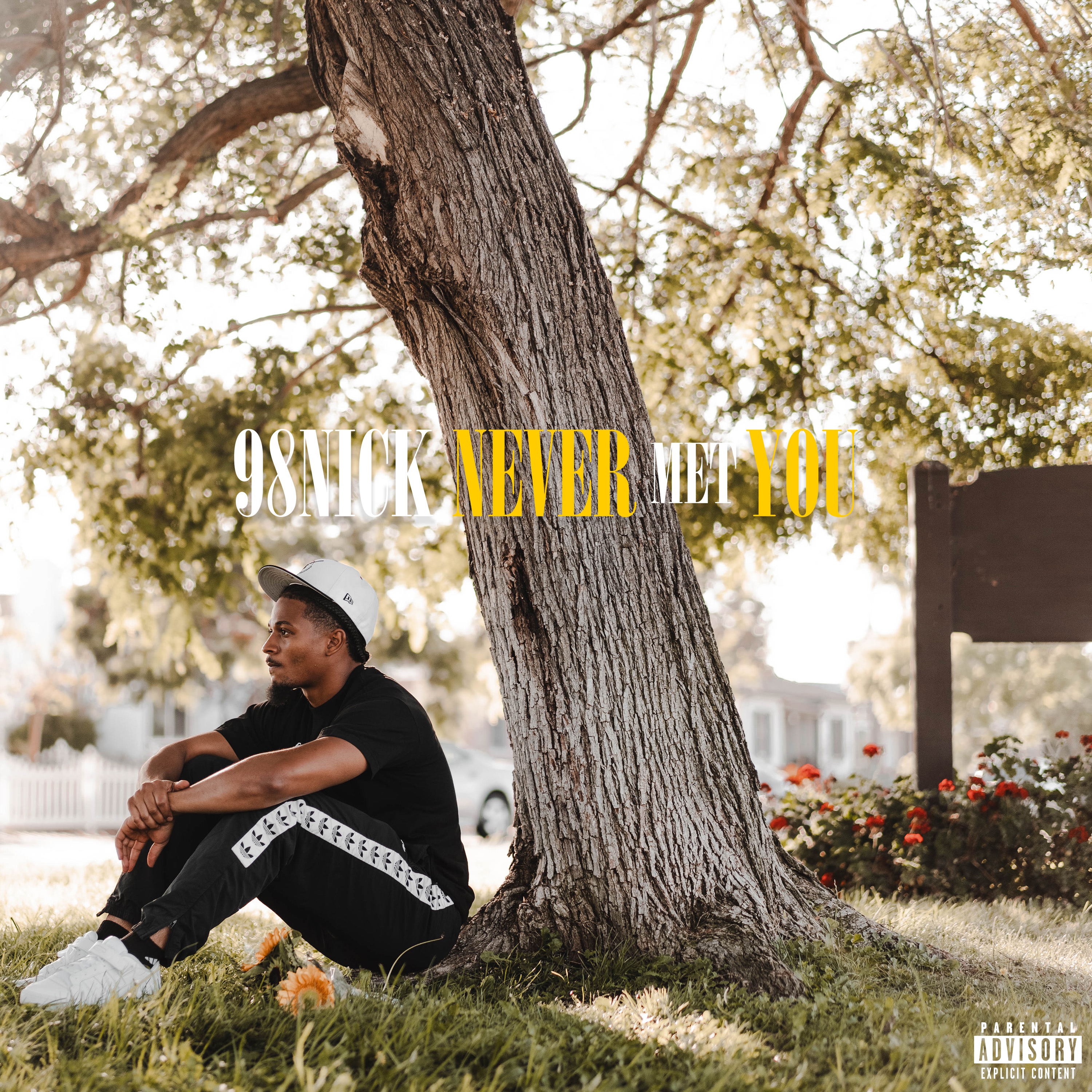 Never Met You artwork