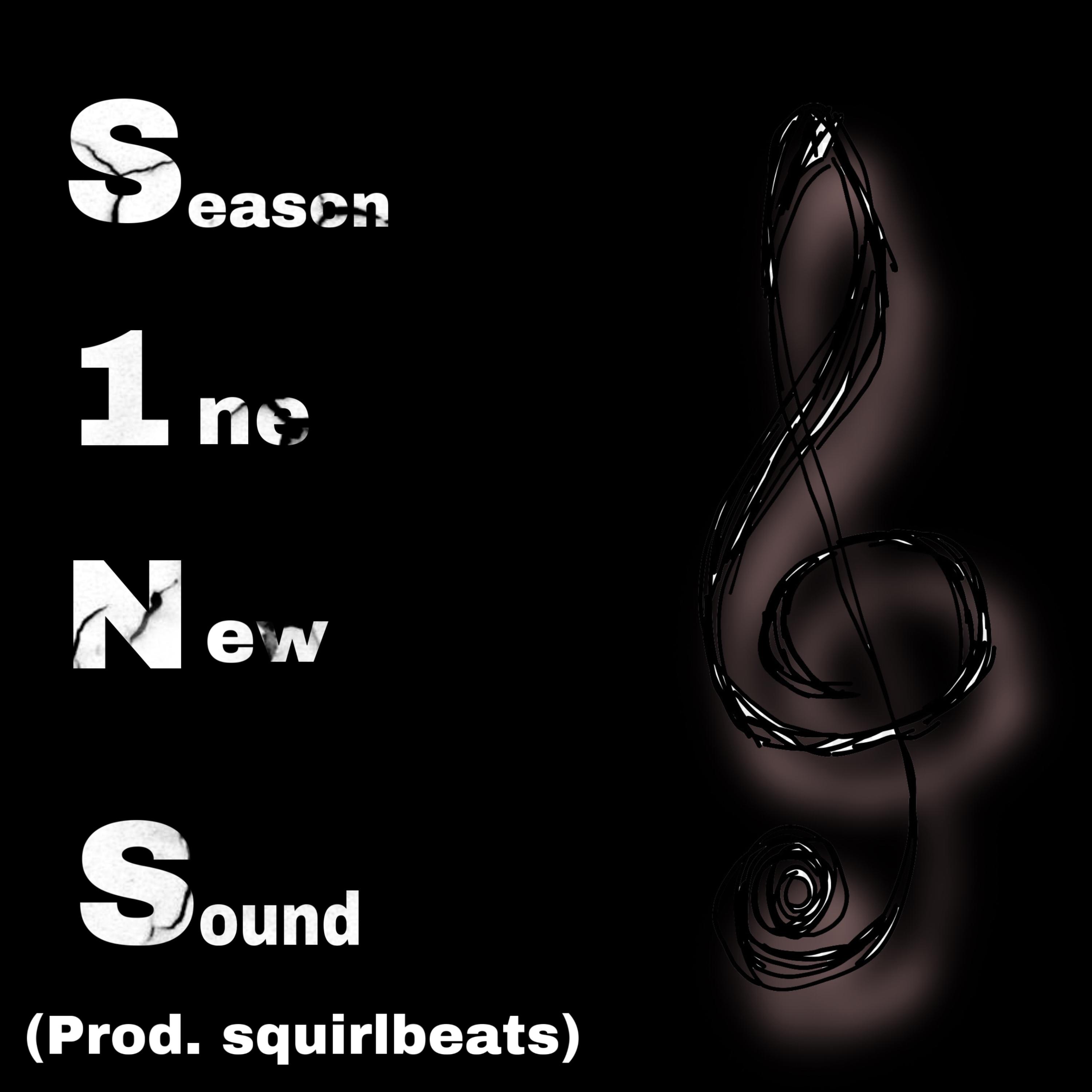 S.1.N.S artwork