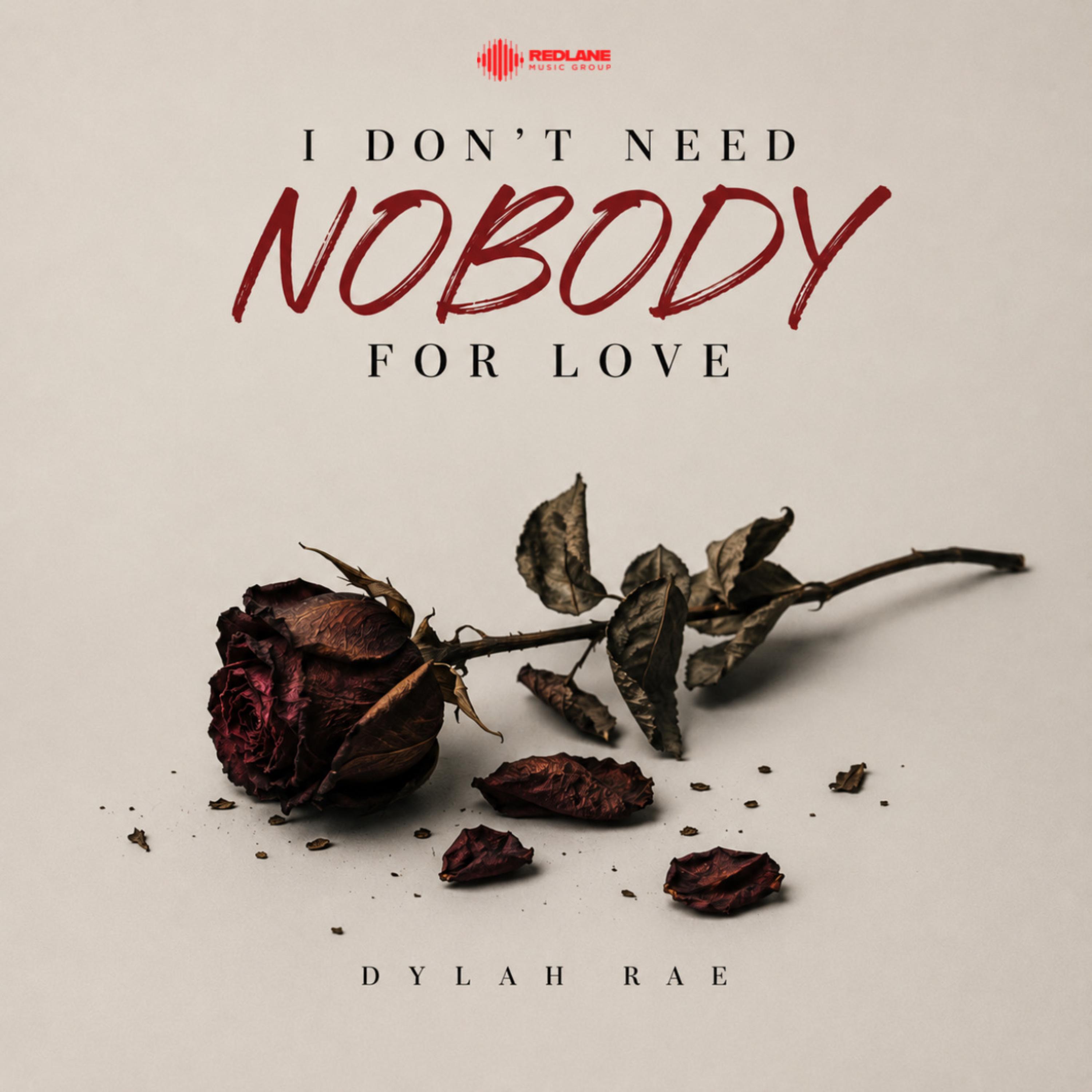 I Don’t Need Nobody For Love by Dylah Rae cover art