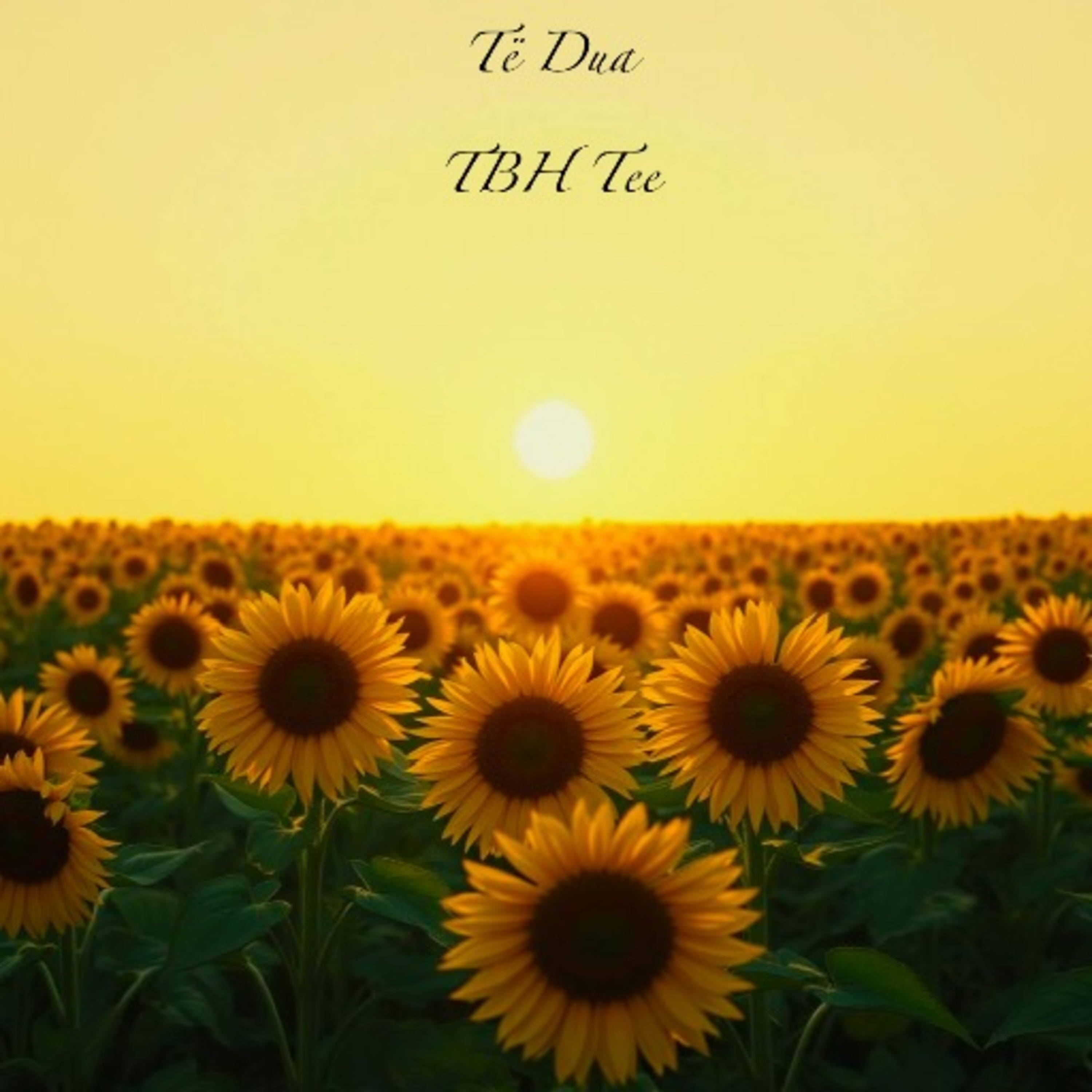 I Love You (Të Dua) artwork