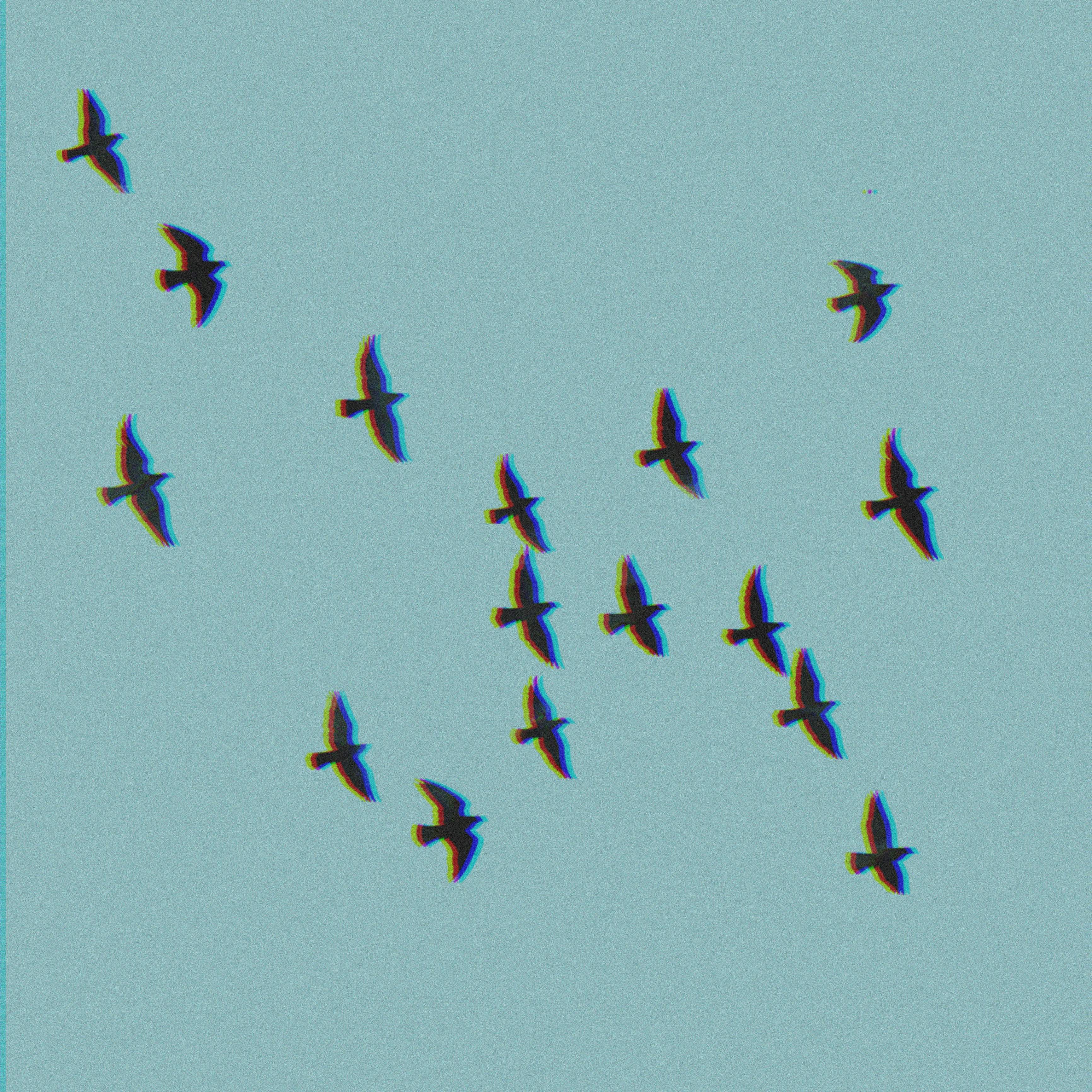 With The Birds artwork