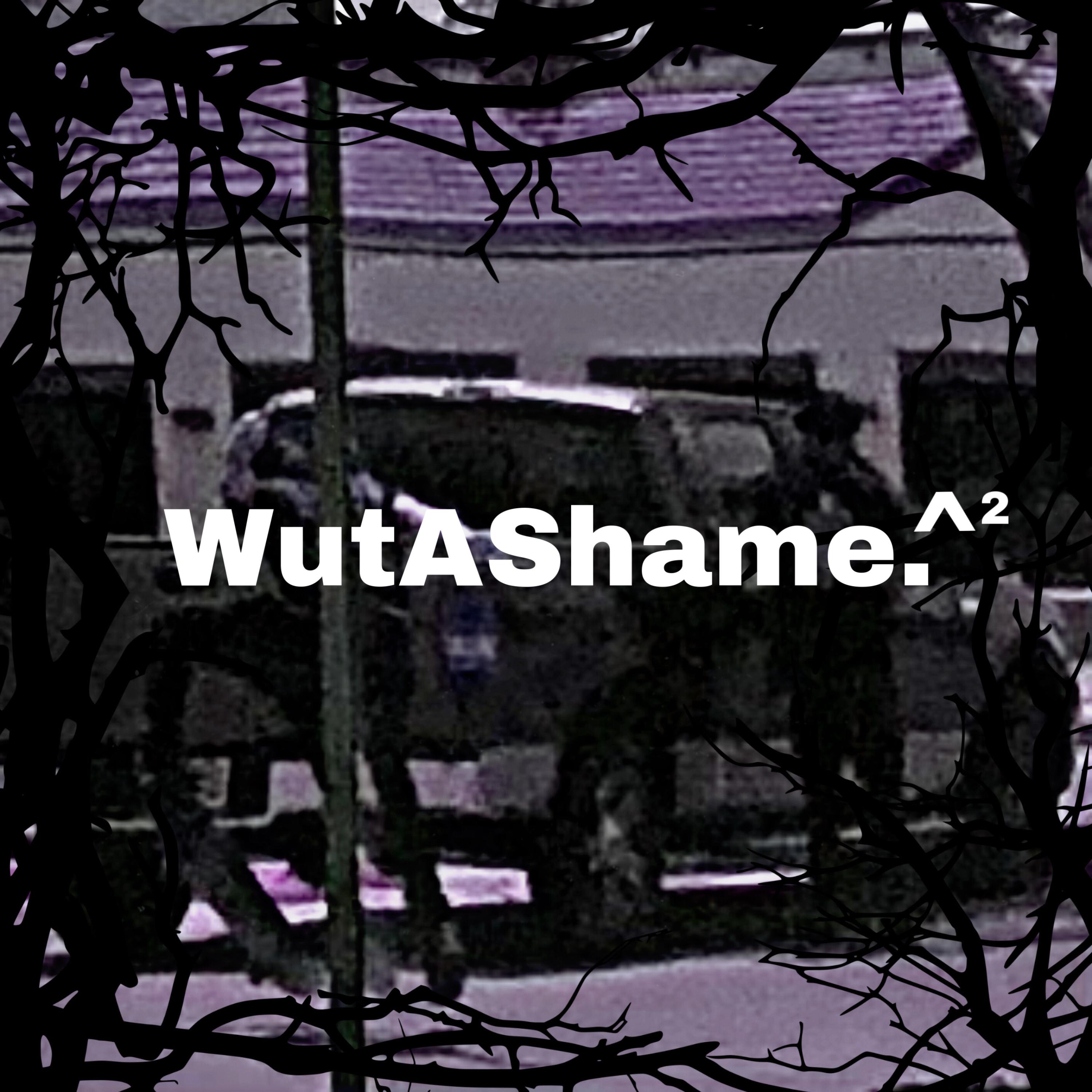 WutAShame2! artwork