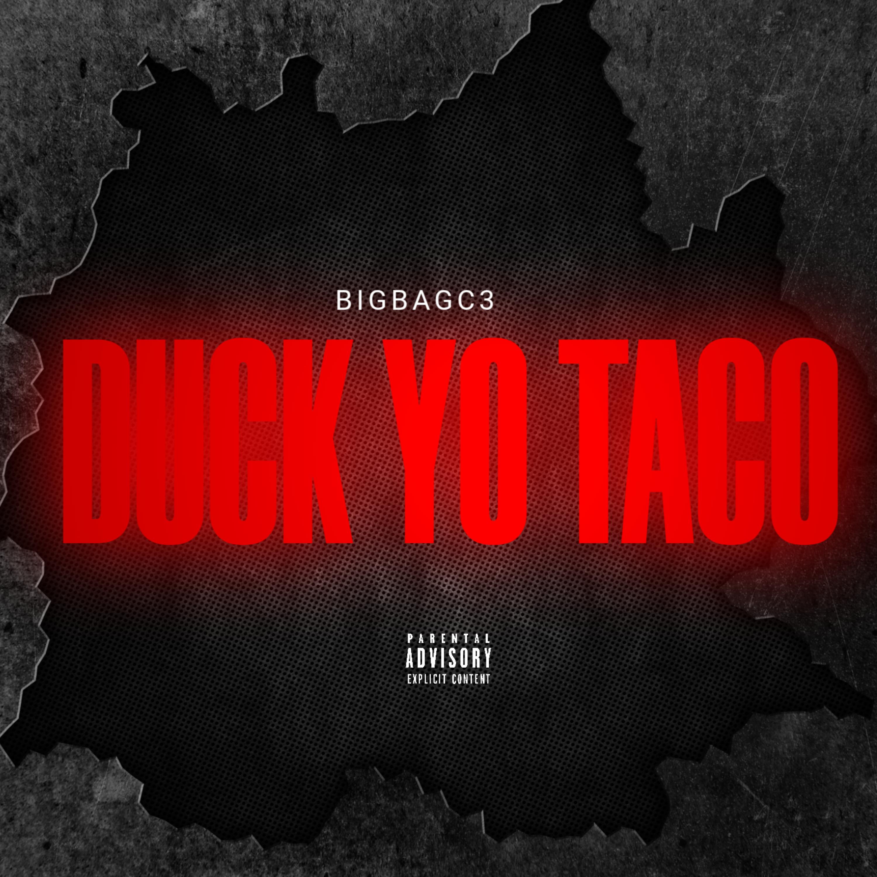 DUCK YO TACO artwork